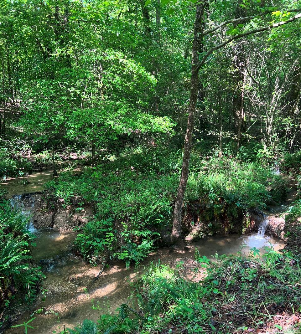 5057 Whitney Lane Benton, AR 72019