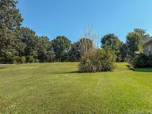 84 Old Shop Lane Flippin, AR 72634