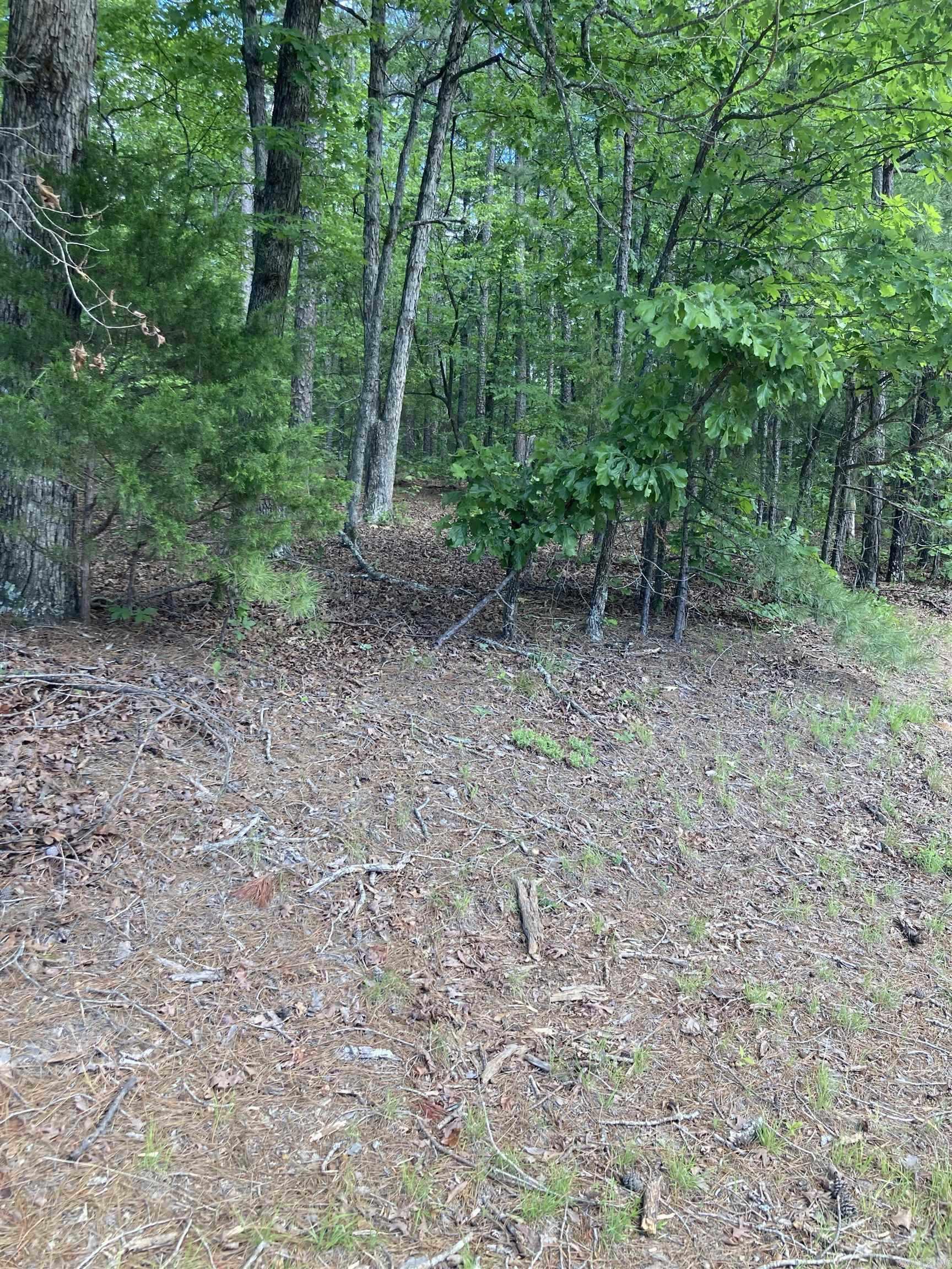 000 Dave Creek Pkwy