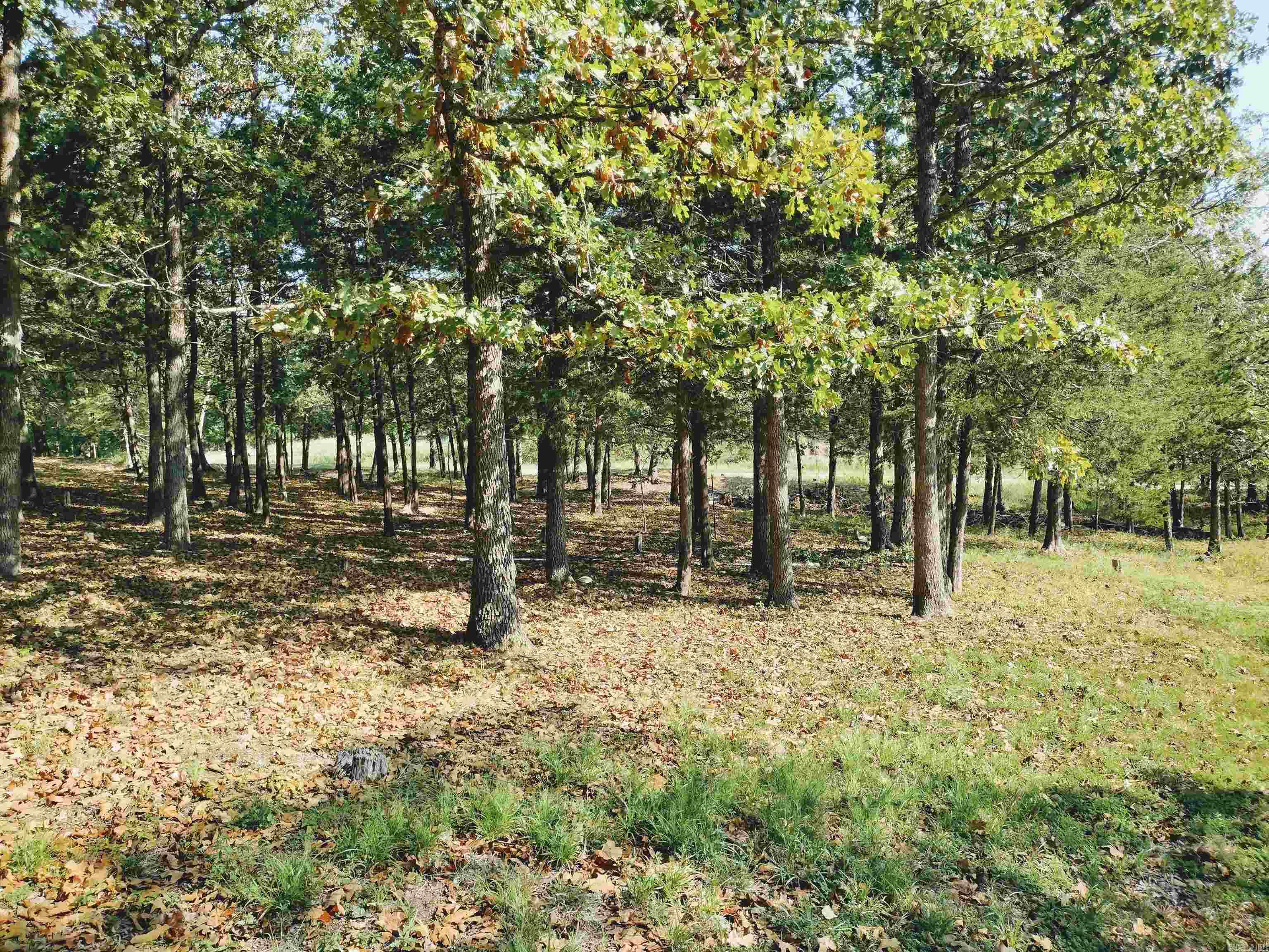 144 Cow Mountain RD