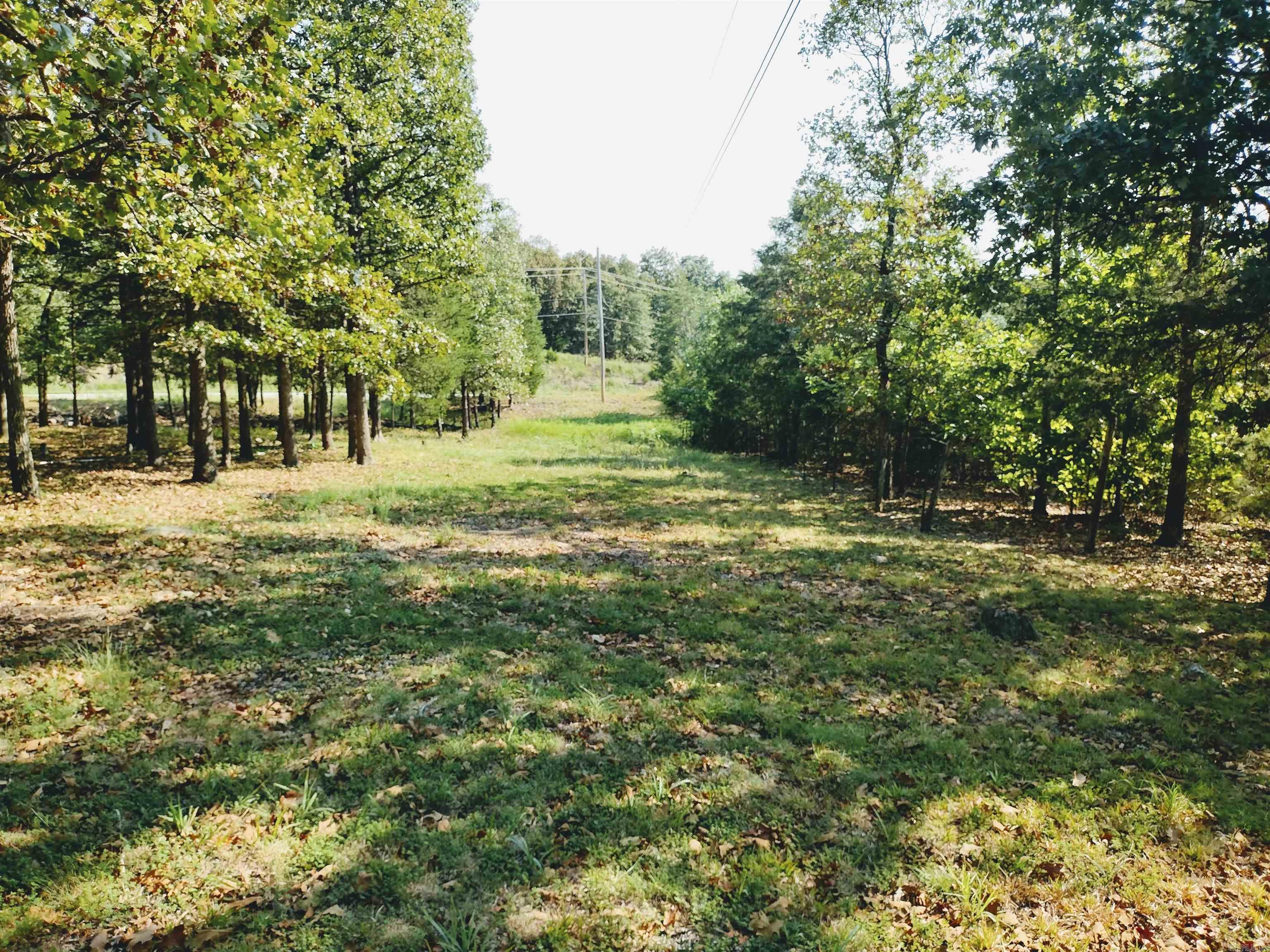 144 Cow Mountain RD