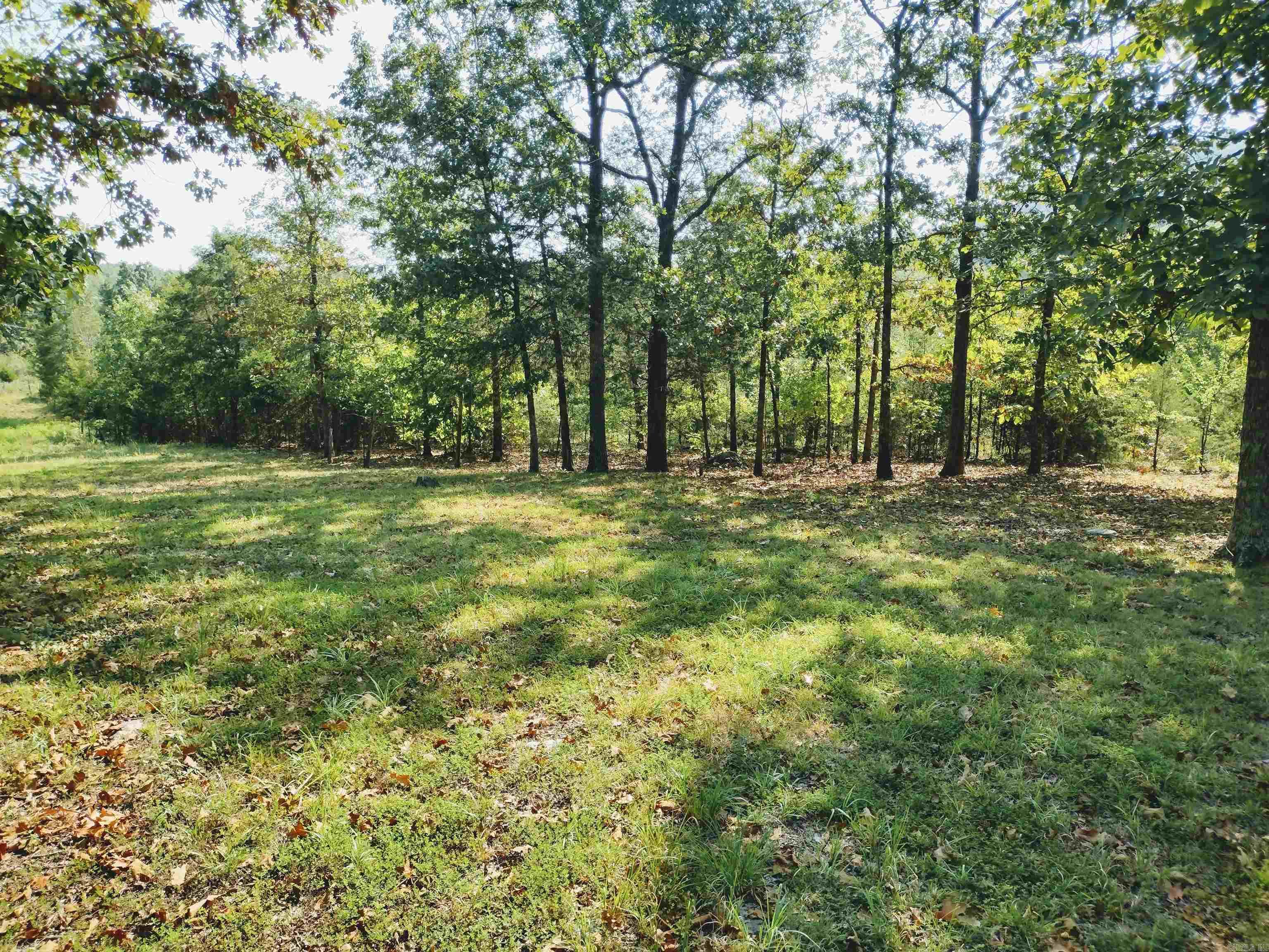 144 Cow Mountain RD