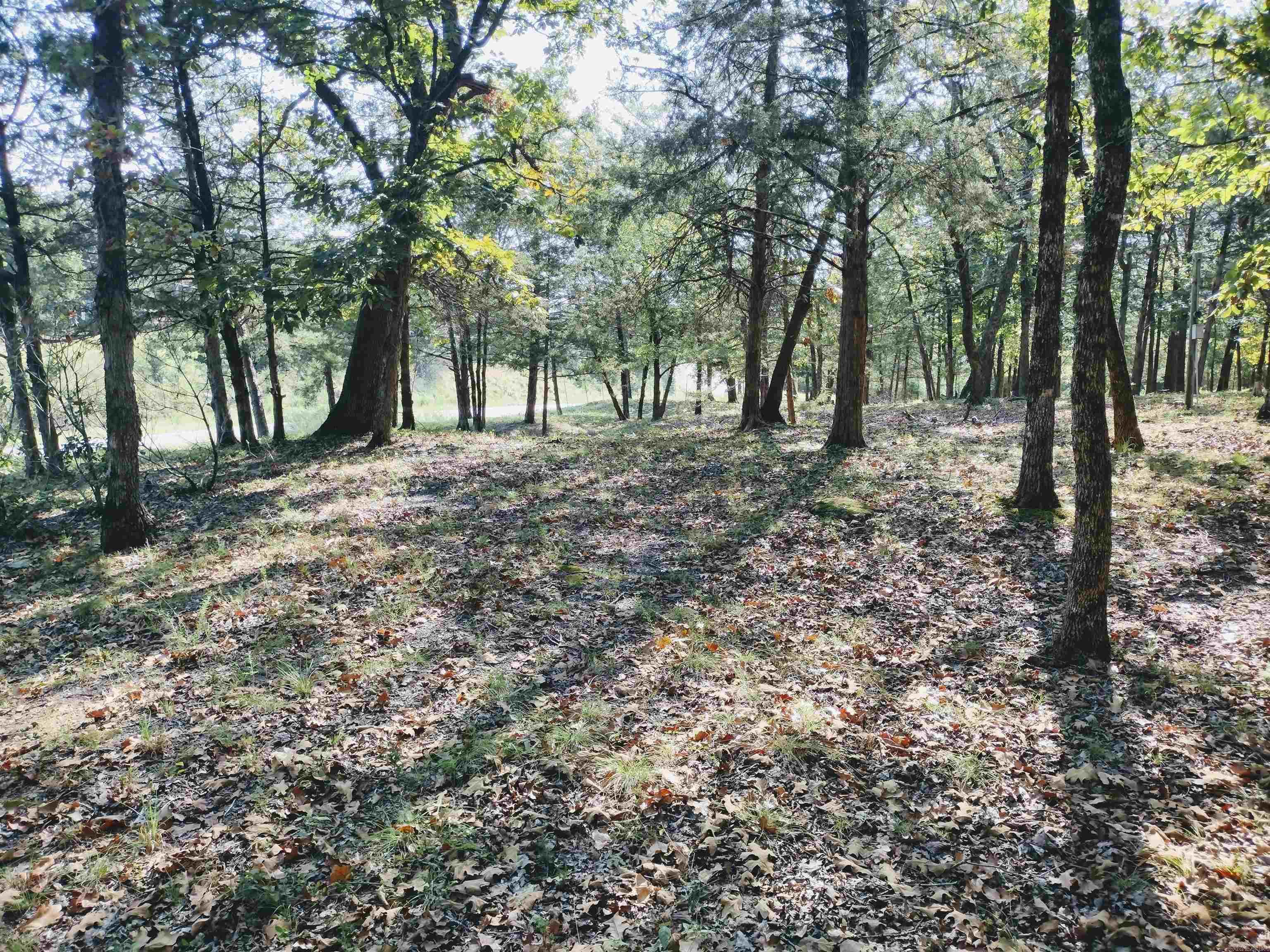144 Cow Mountain RD