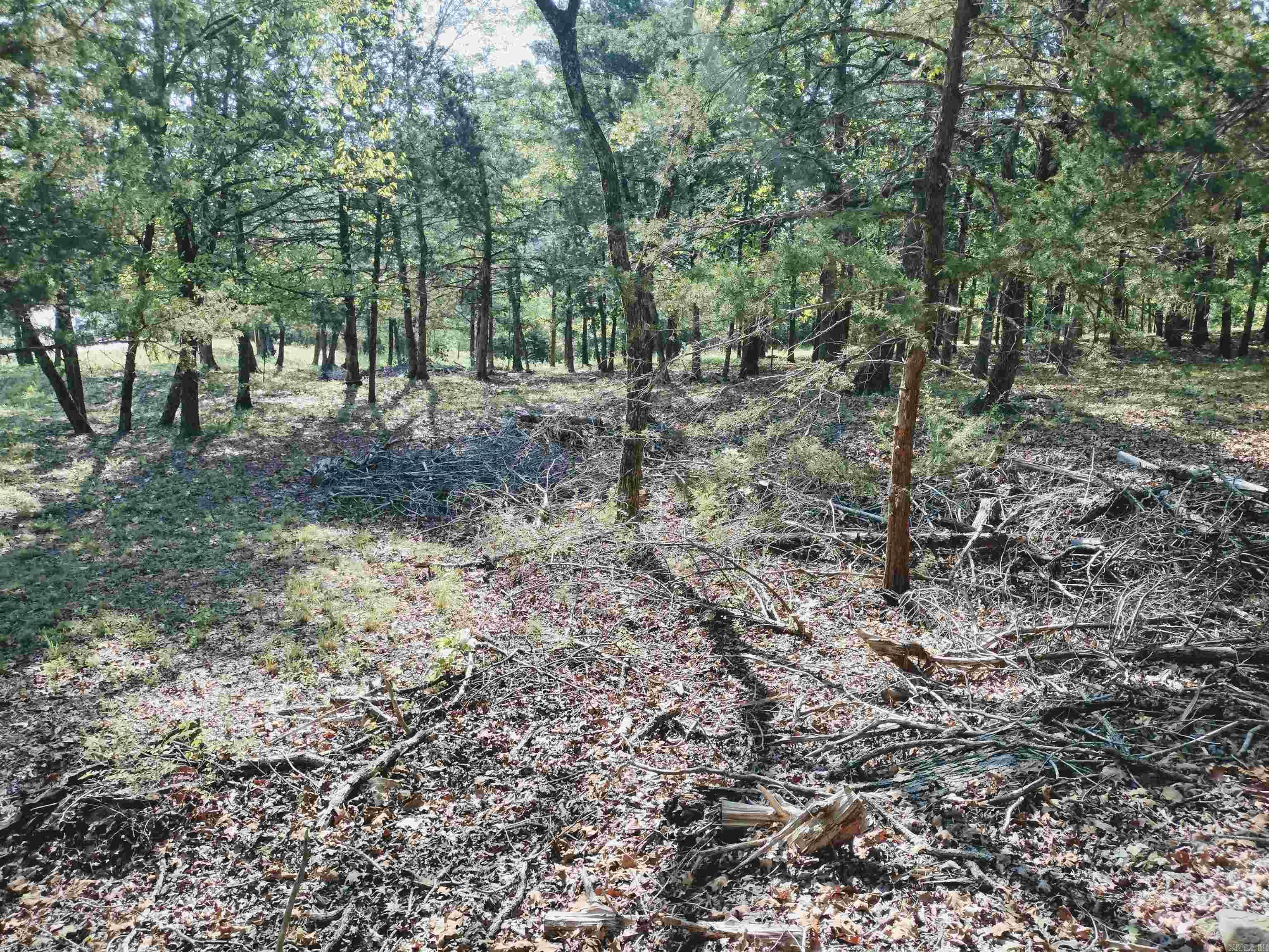 144 Cow Mountain RD
