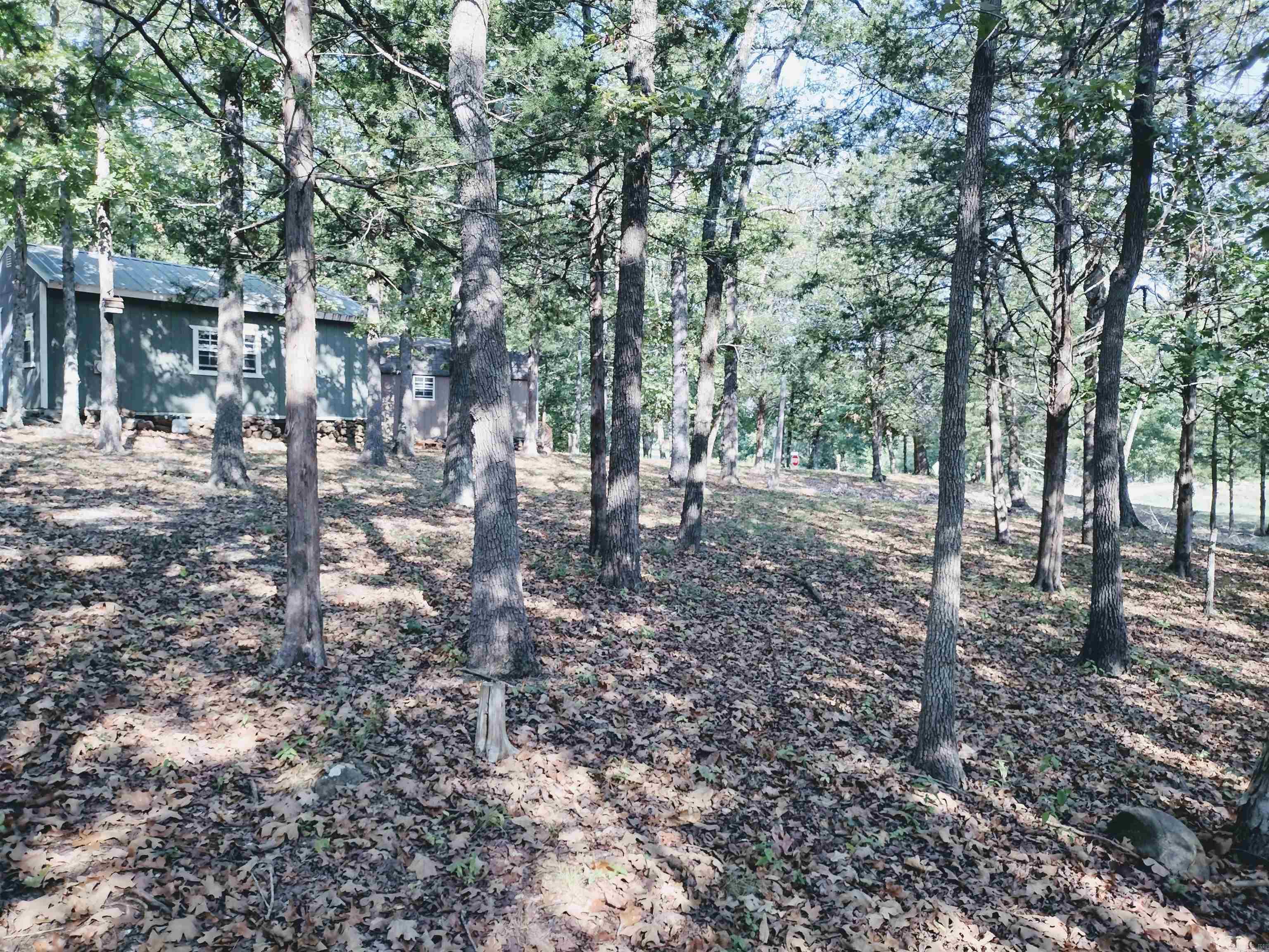 144 Cow Mountain RD