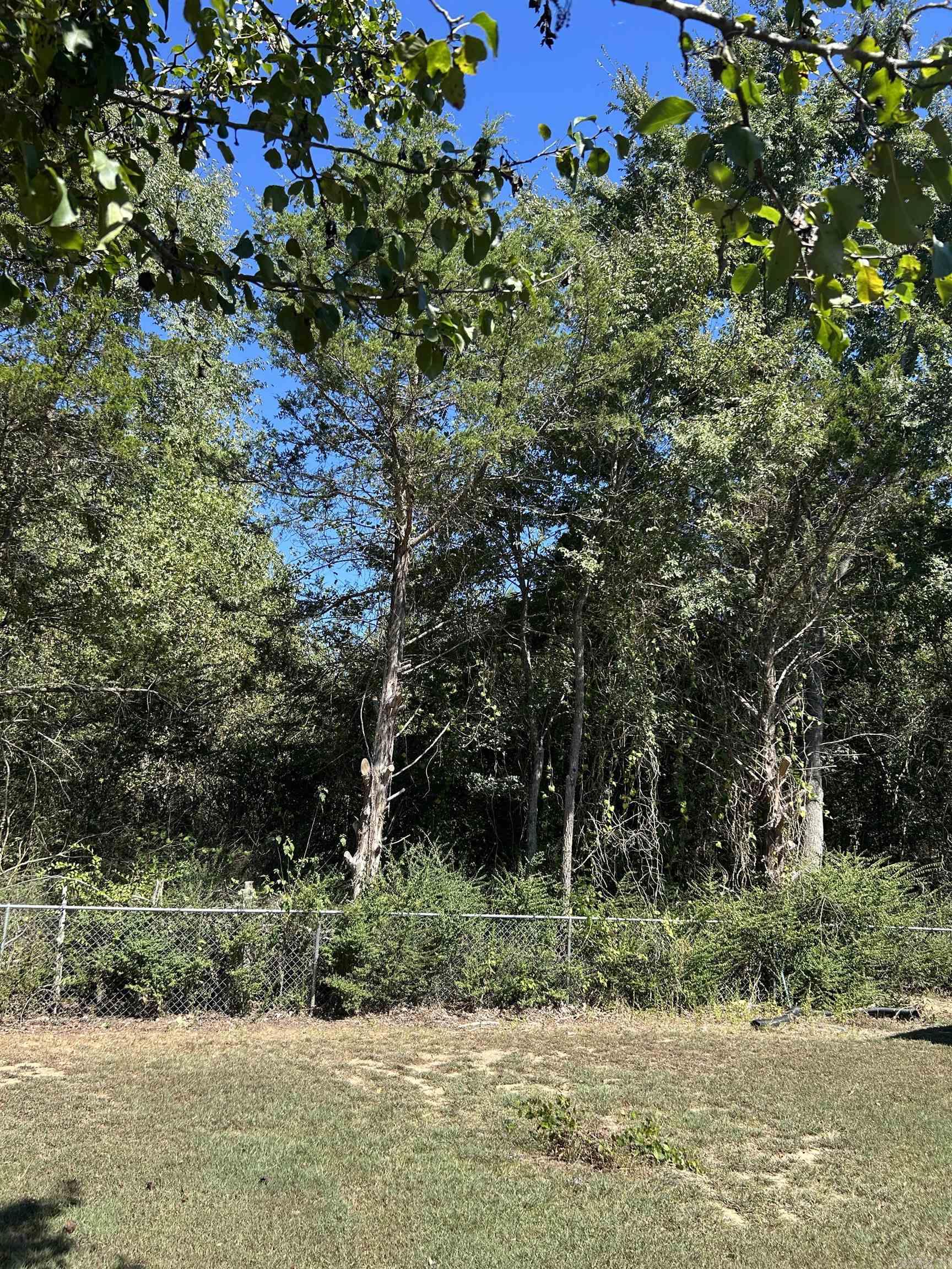 59 Summerview Circle  Quitman, AR