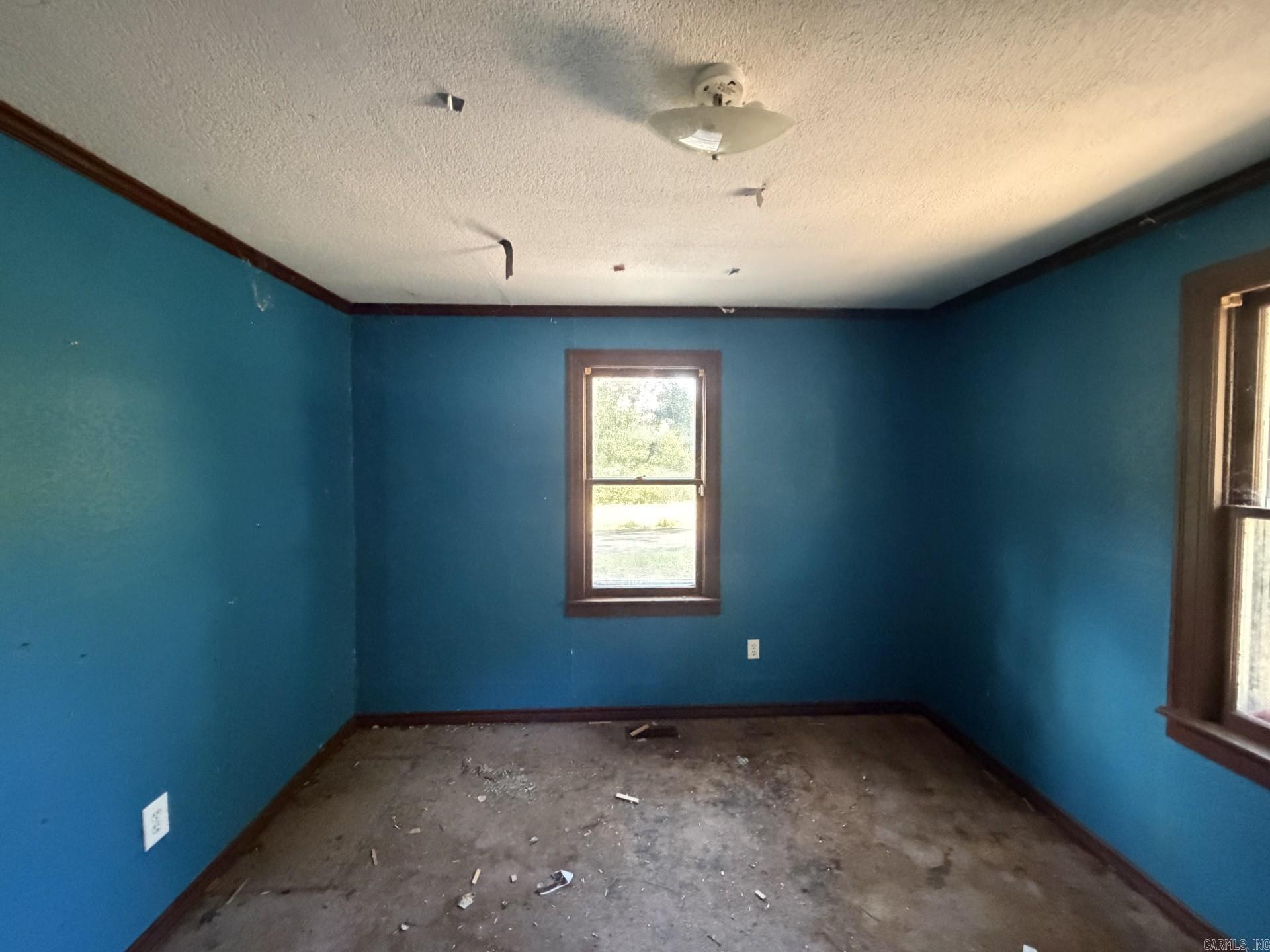903 Owen Street — photo 5