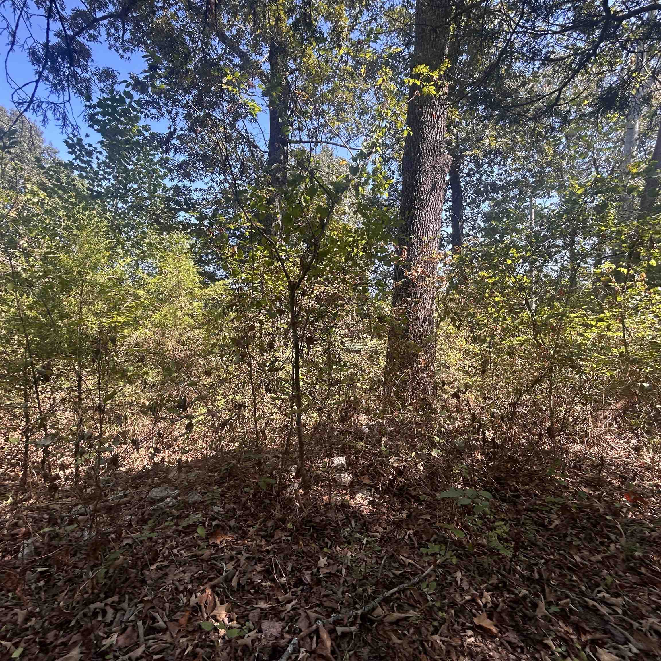 509 River Road