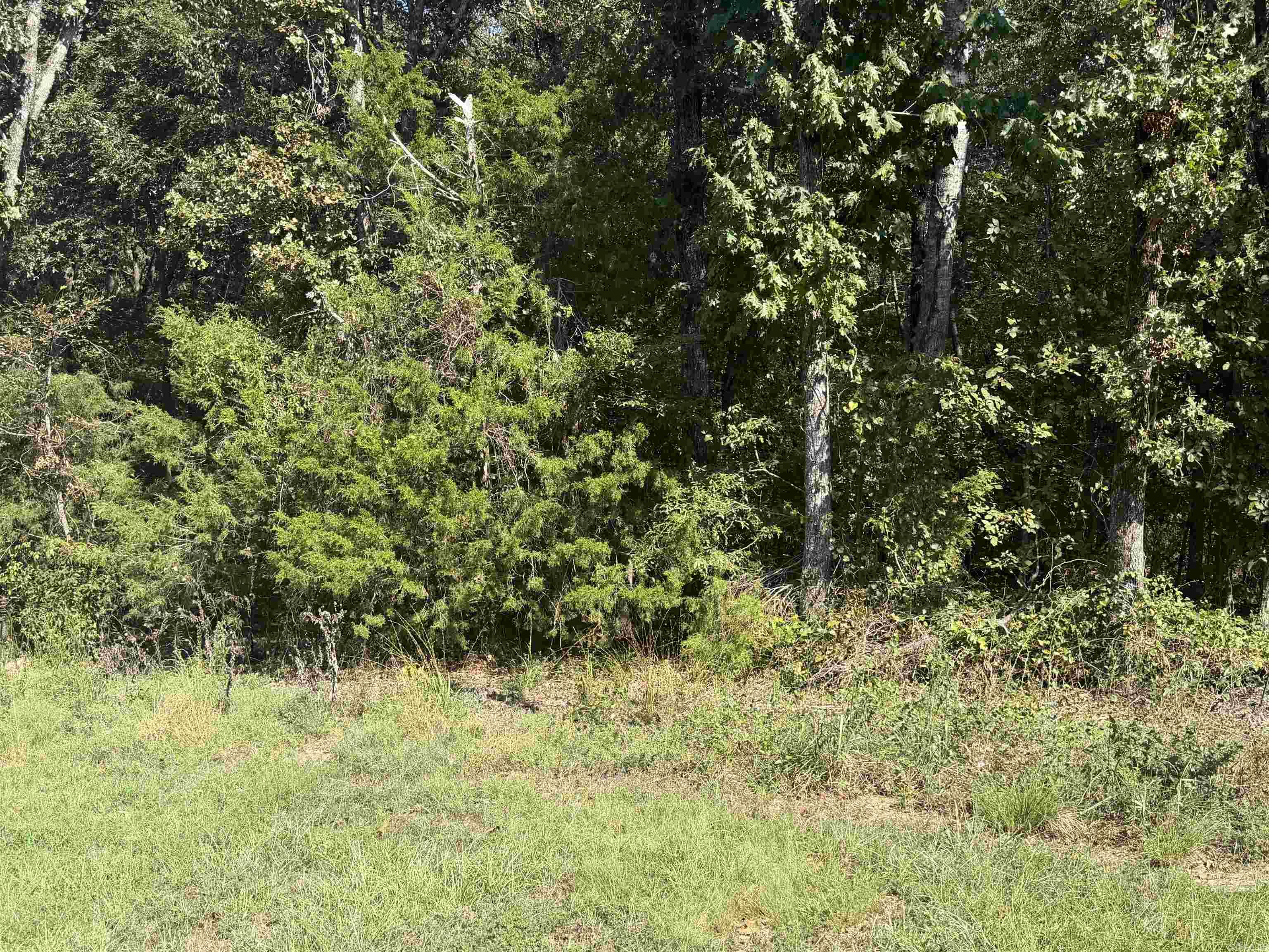 25 Kristy Dr — photo 5