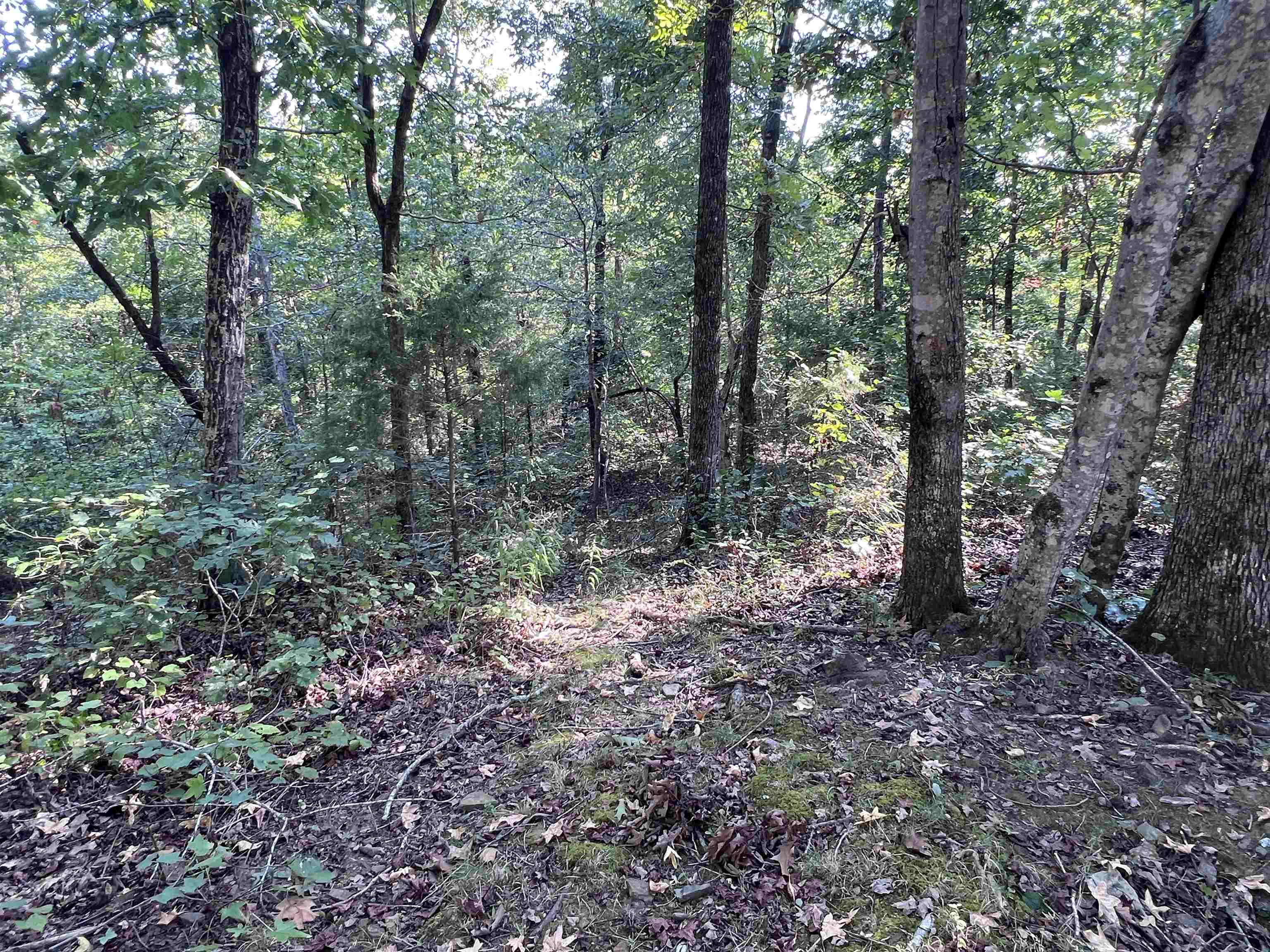 358 Rackley Rd