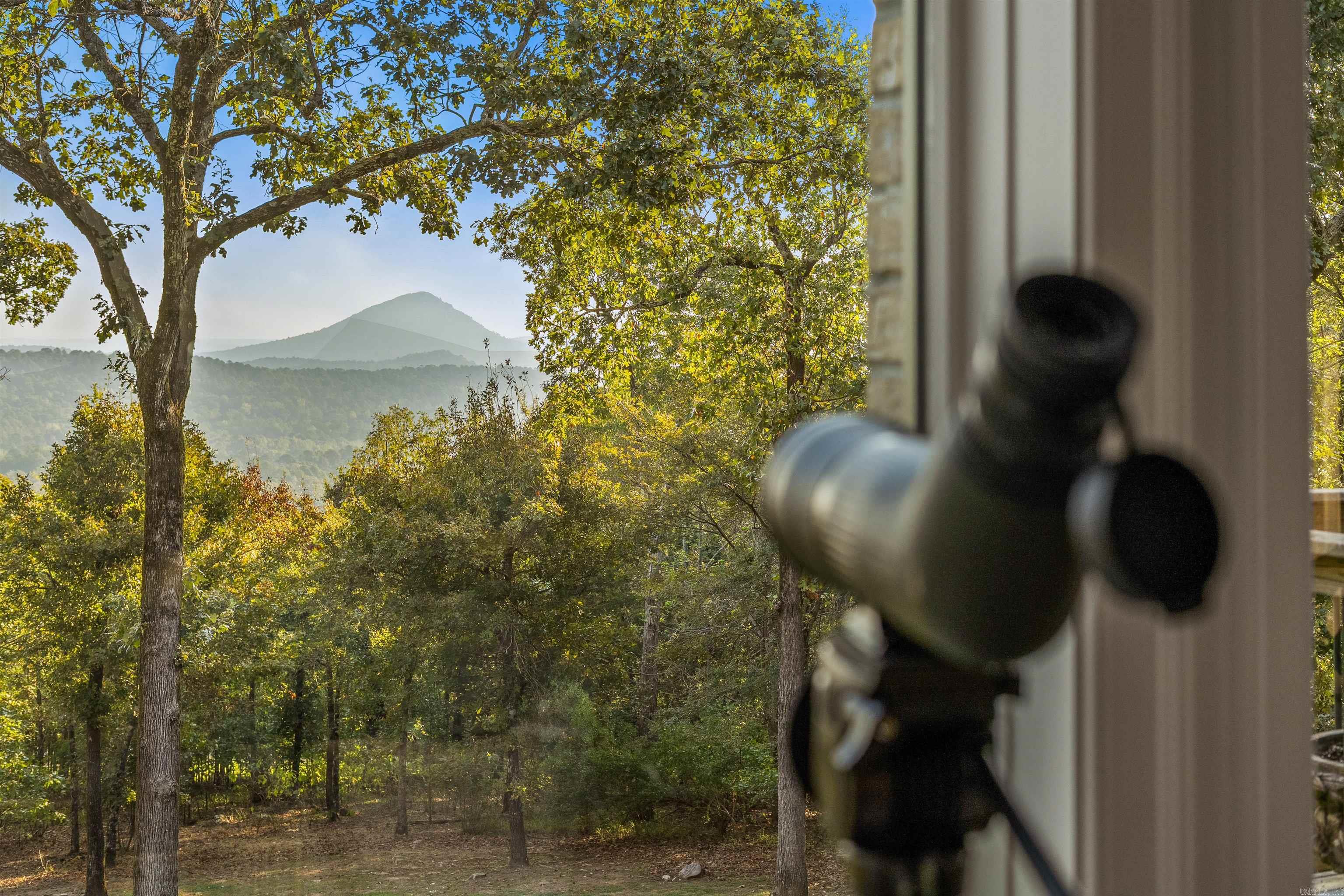 24008 Mills Mountain Road — photo 5