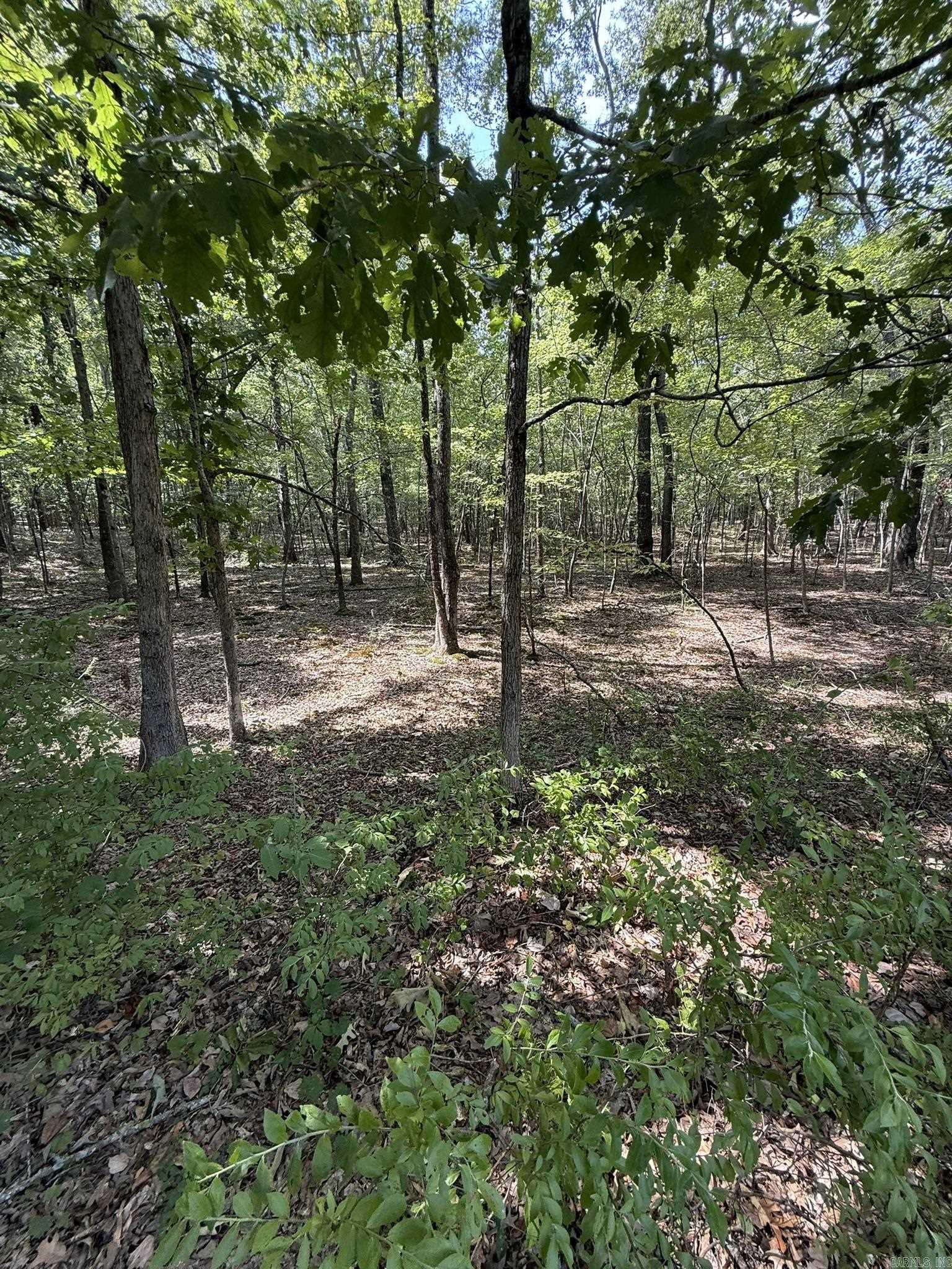 14 E NAVAJO TRAIL  Mayflower, AR