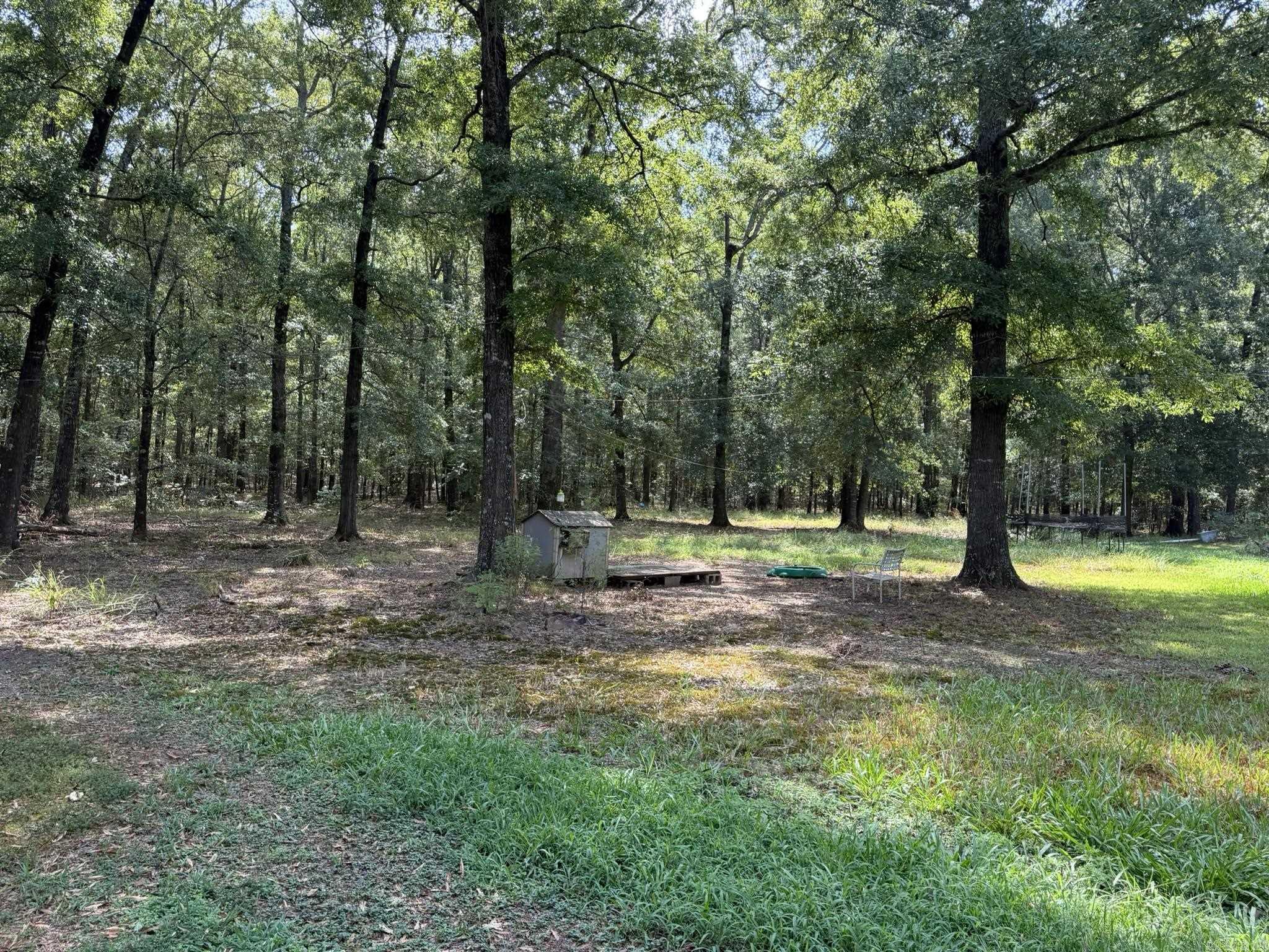 14 E NAVAJO TRAIL  Mayflower, AR