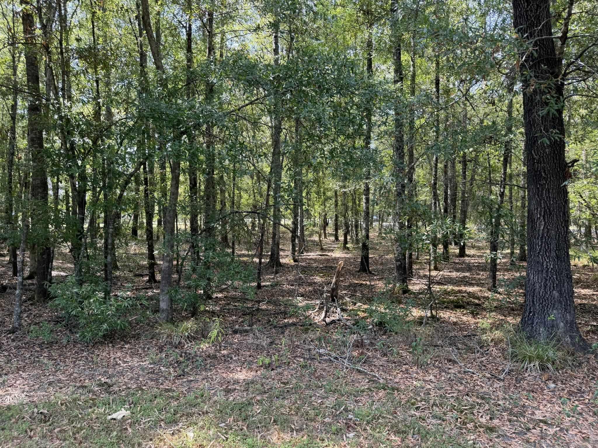14 E NAVAJO TRAIL  Mayflower, AR
