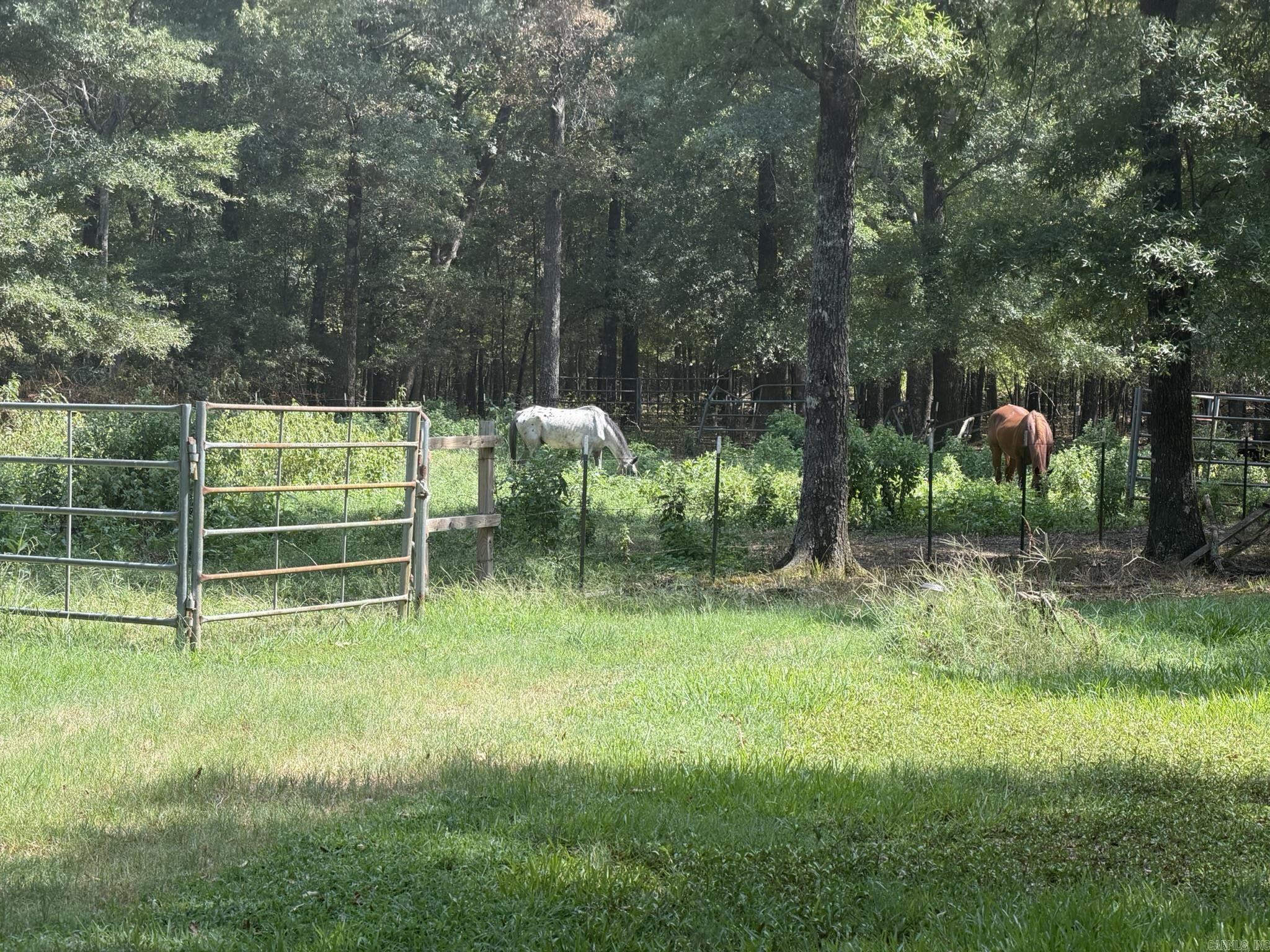 14 E NAVAJO TRAIL  Mayflower, AR