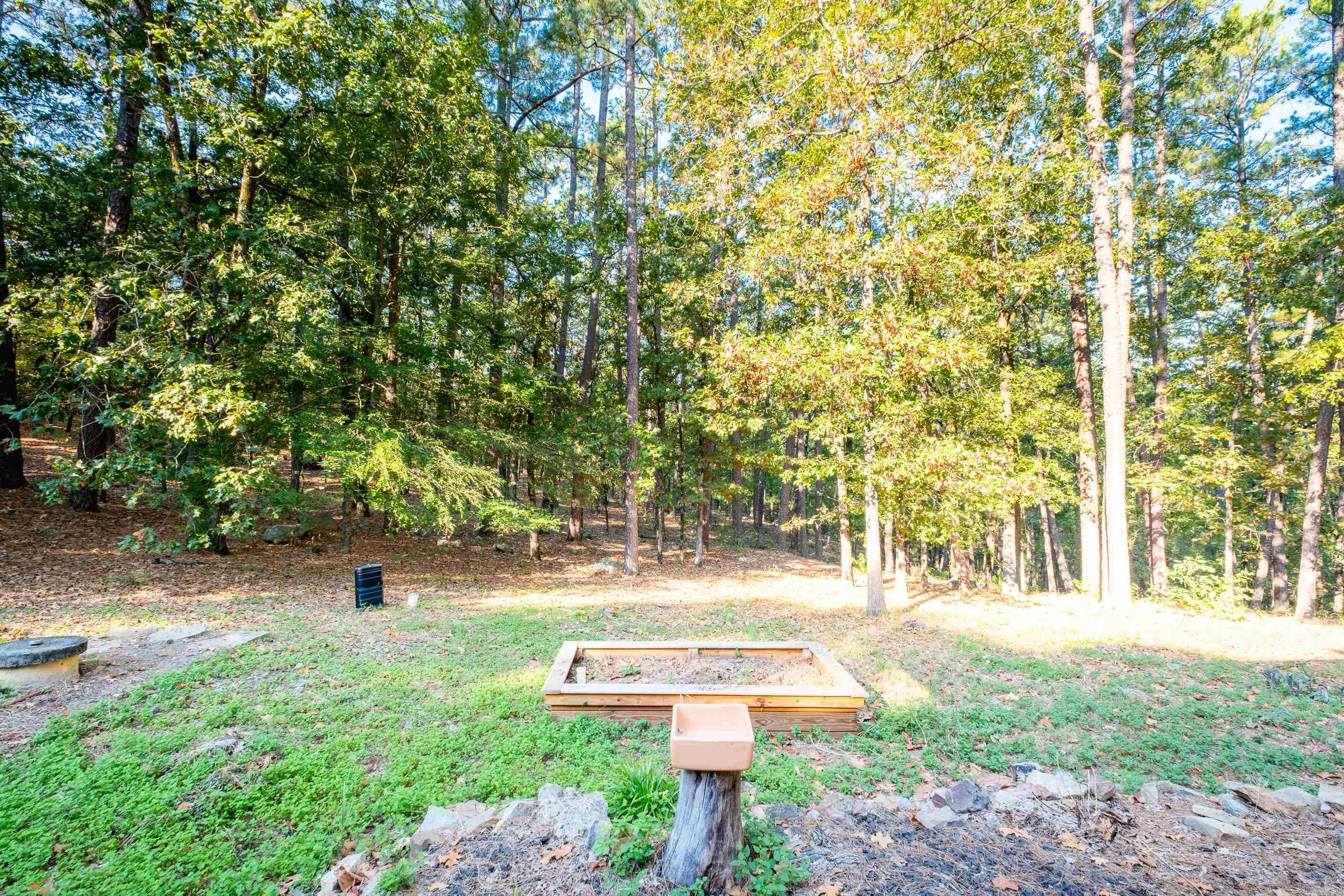 21725 Stonewood Lane Roland, AR 72135