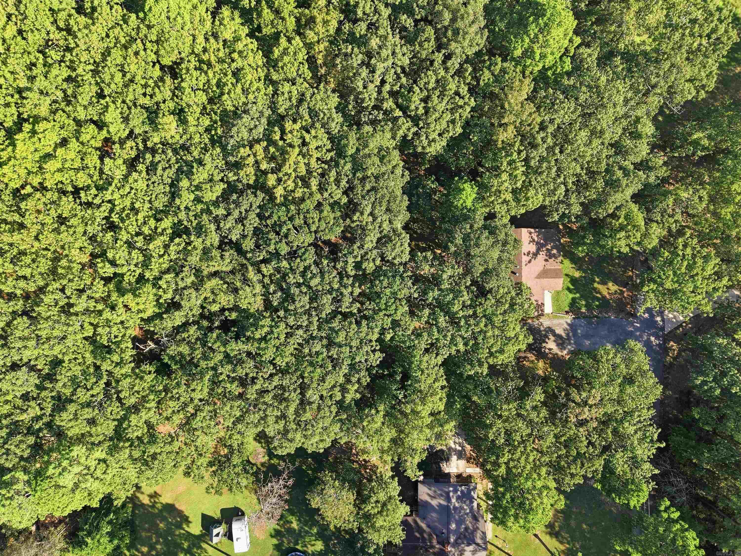 55 Woodland Cove Dr