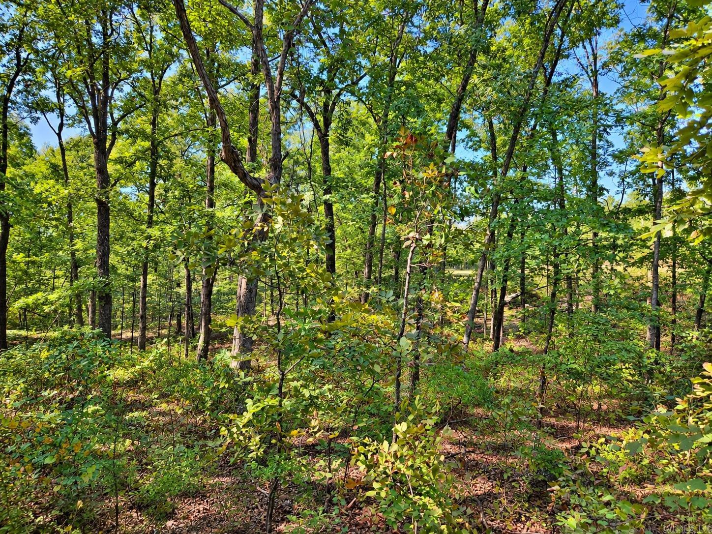 0 Diamond Bluff Road — photo 2