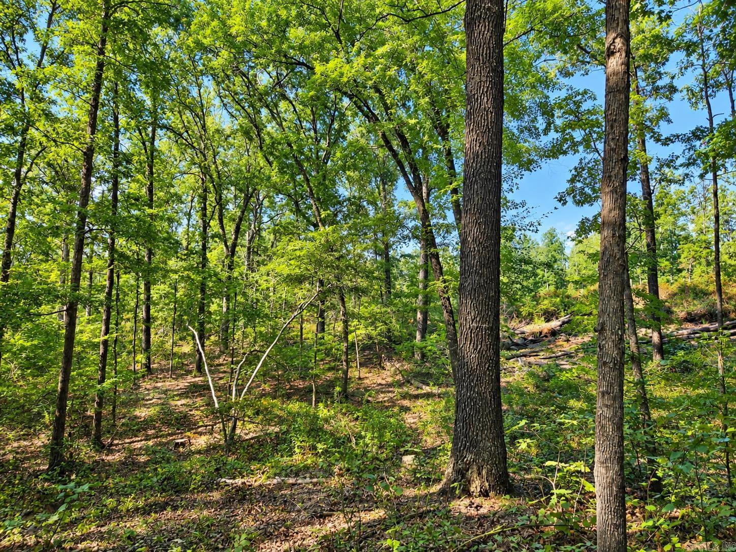 0 Diamond Bluff Road — photo 4