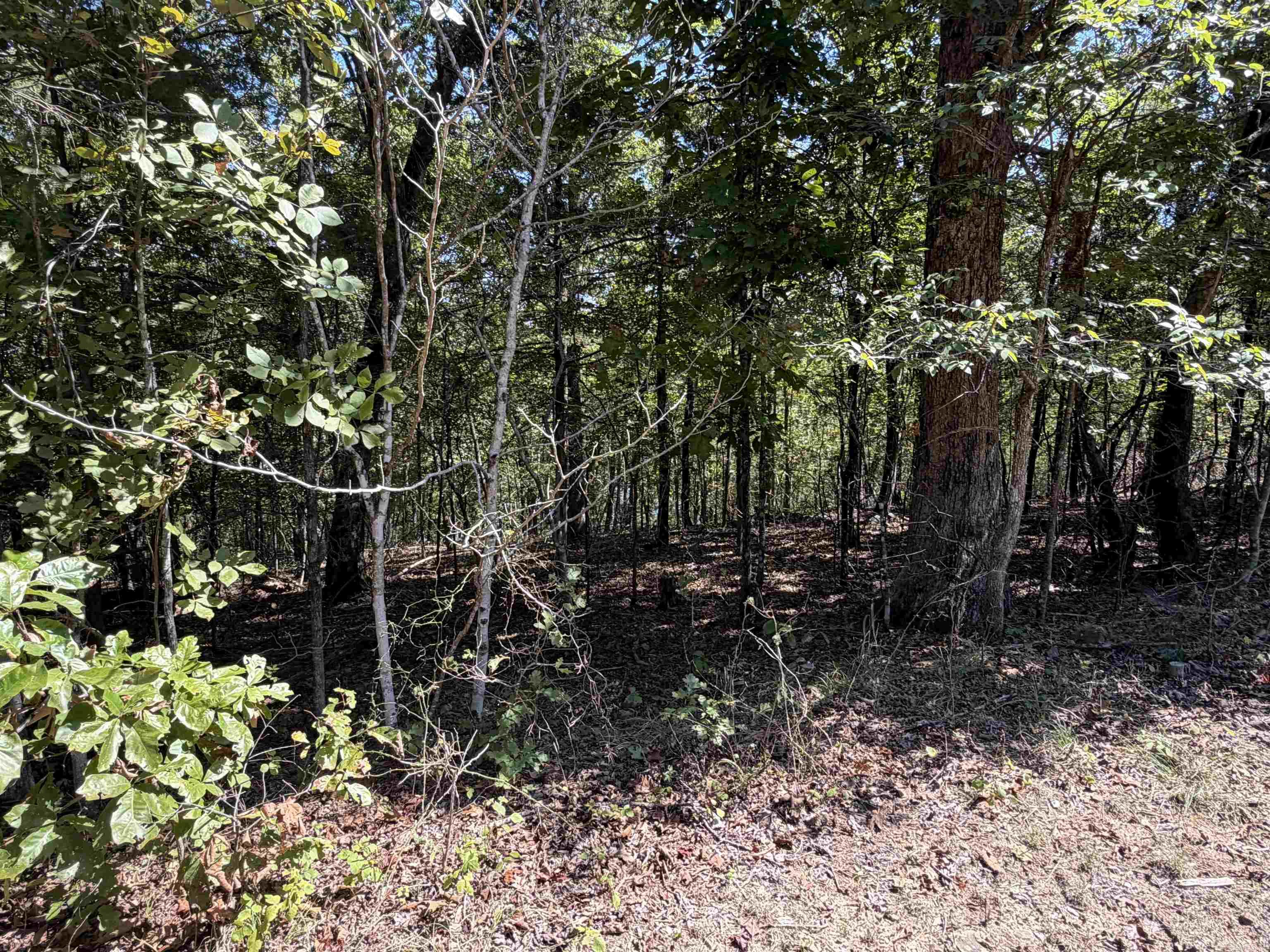 320 Lakeside Drive — photo 4