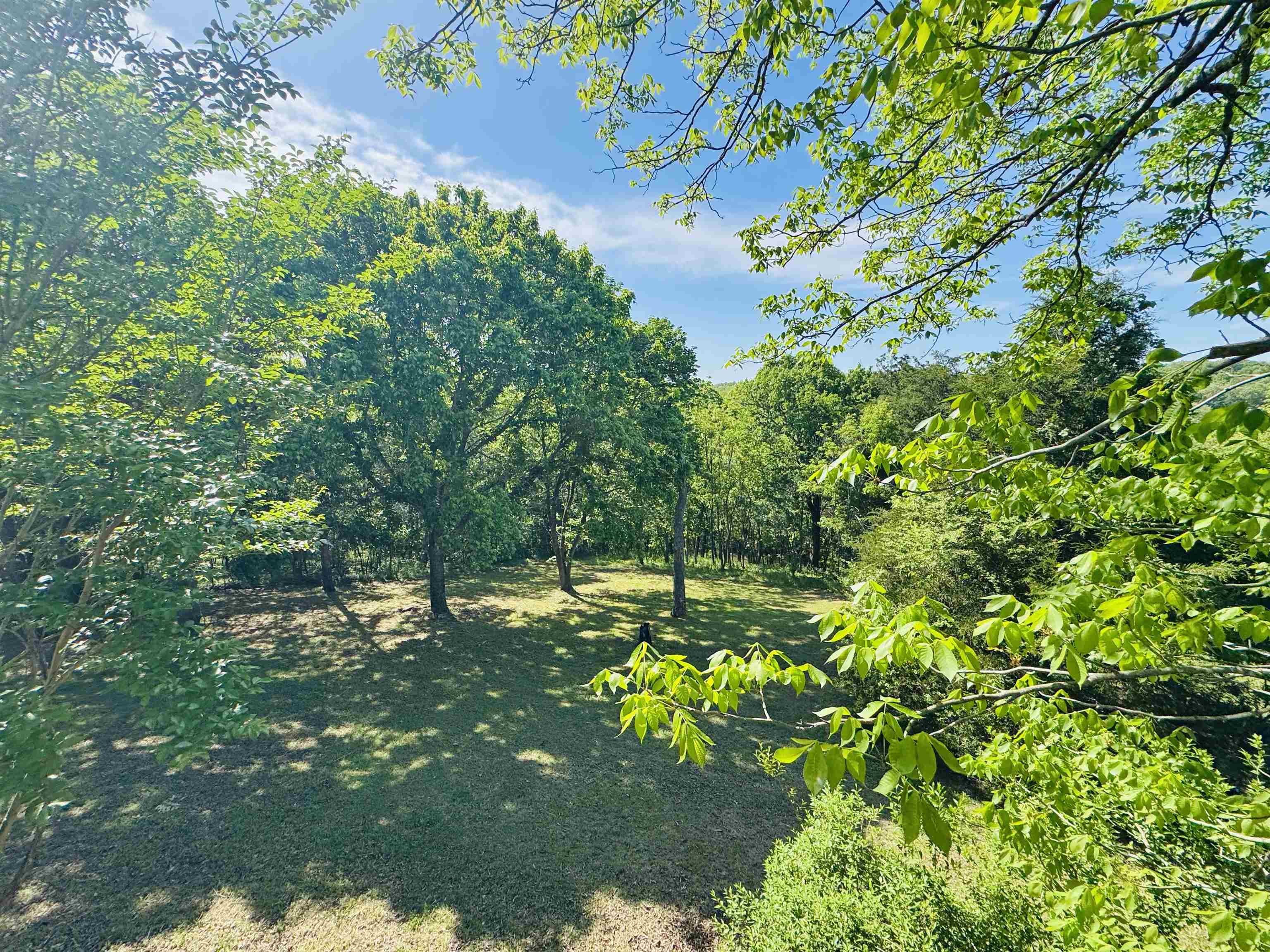 100 Powhatan  Cherokee Village, AR