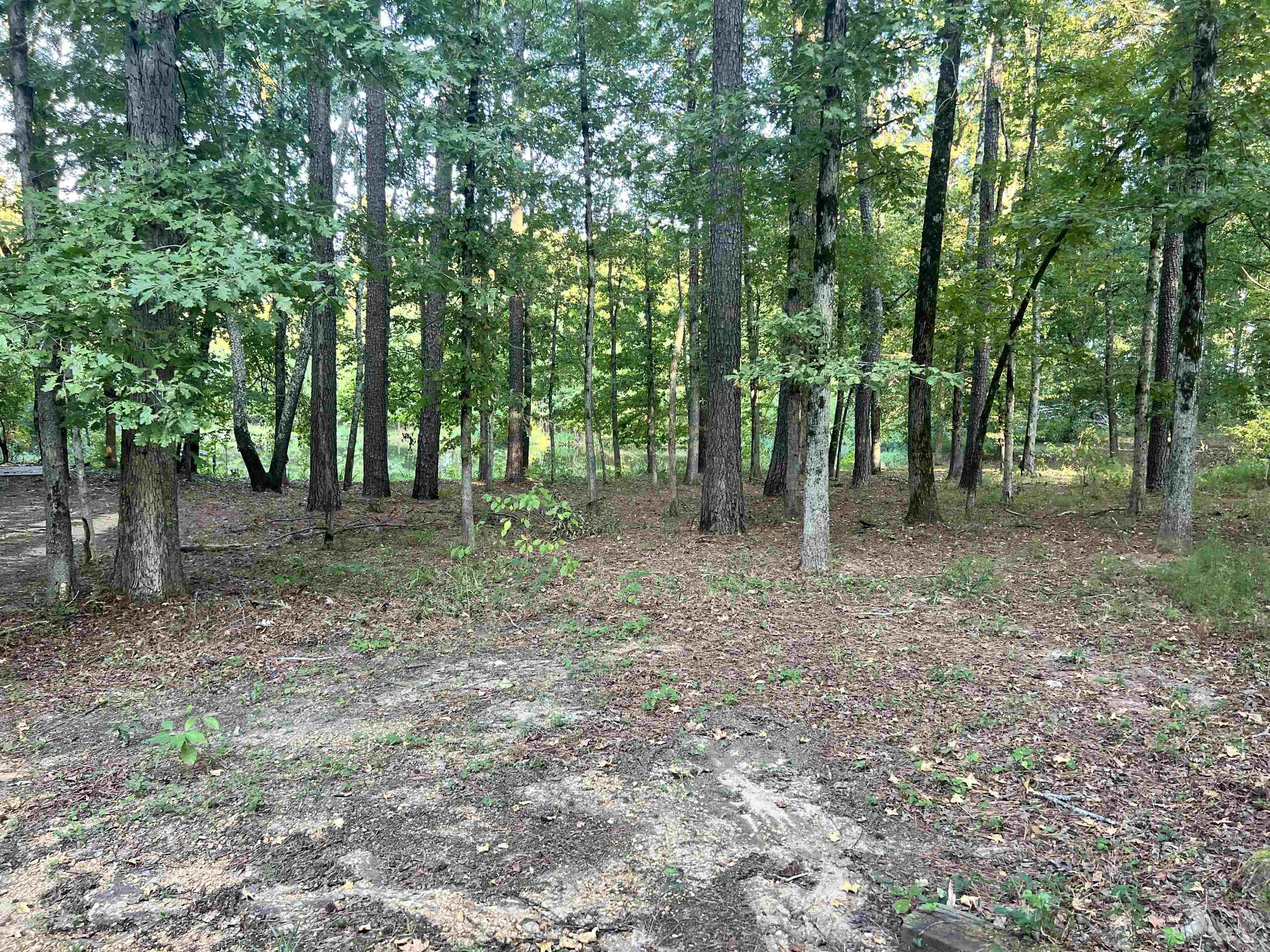 7367 Goodfellow  Star City, AR