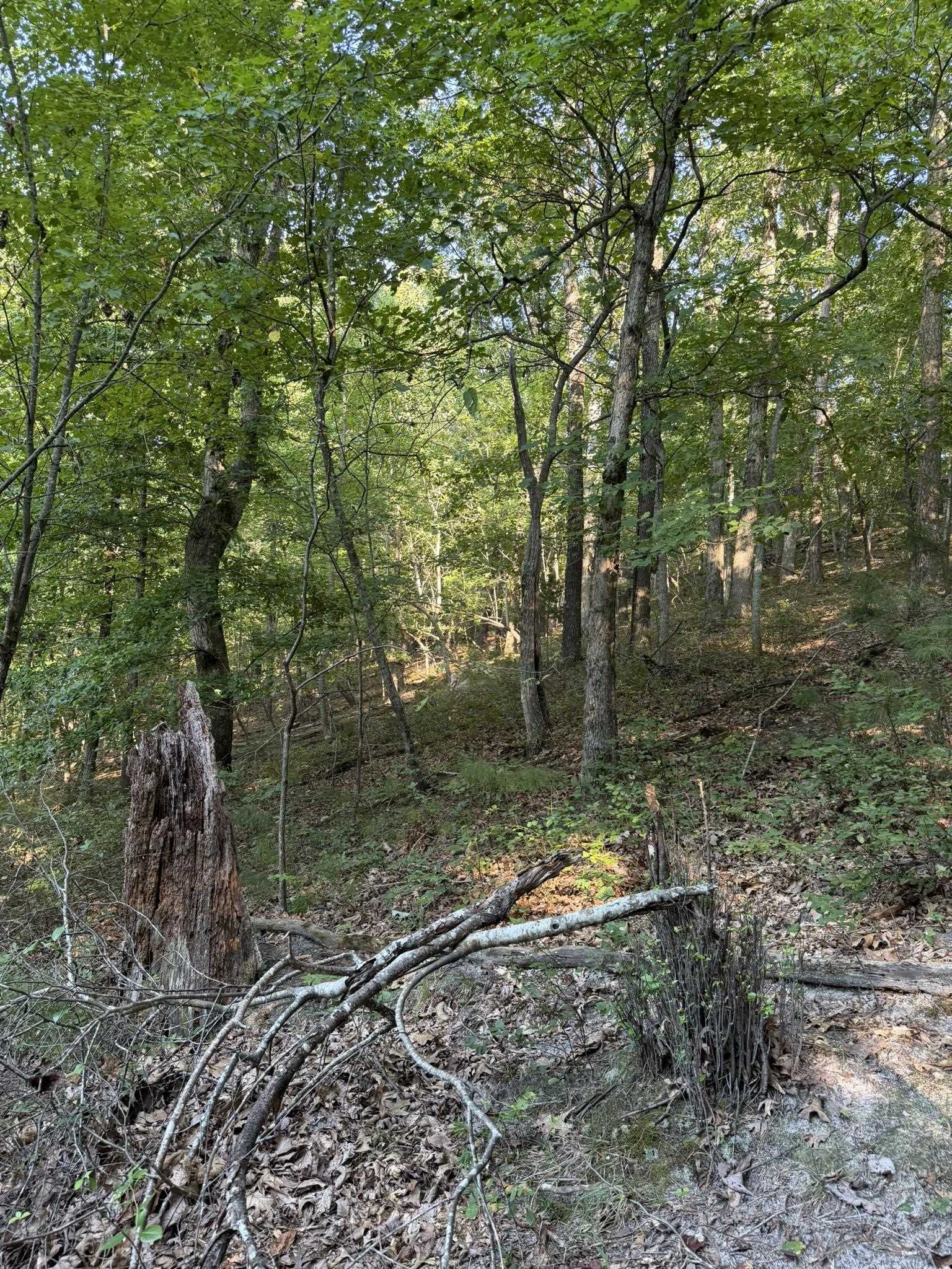 143A Dreamrider Dr.