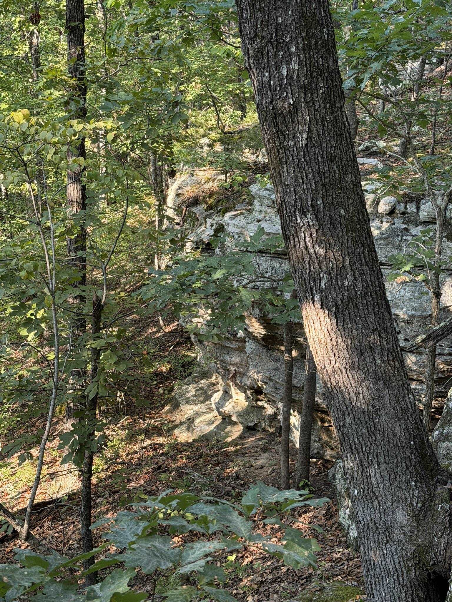 143A Dreamrider Dr.