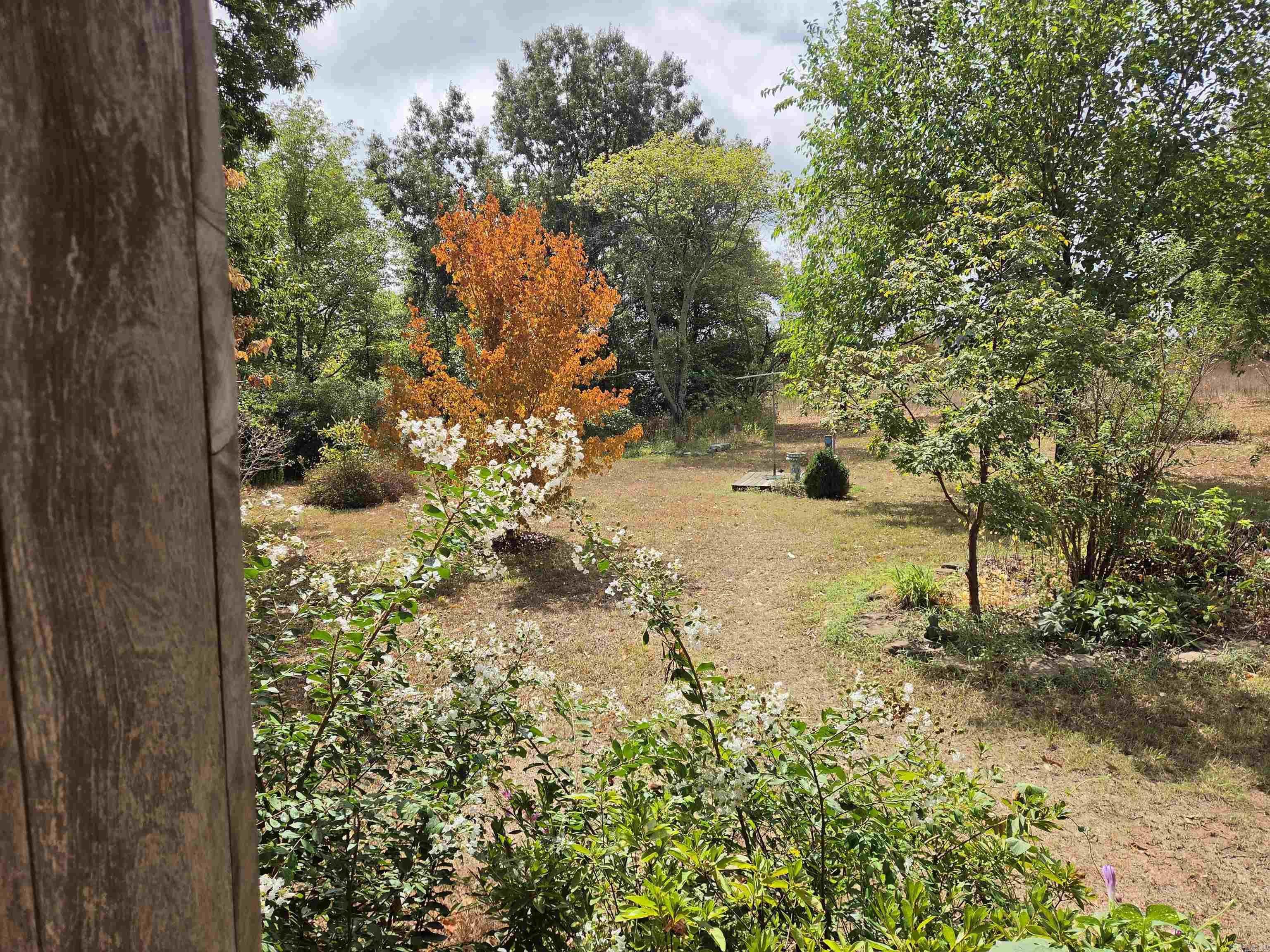 5401 Crestwood Lane Ozark, AR 72949