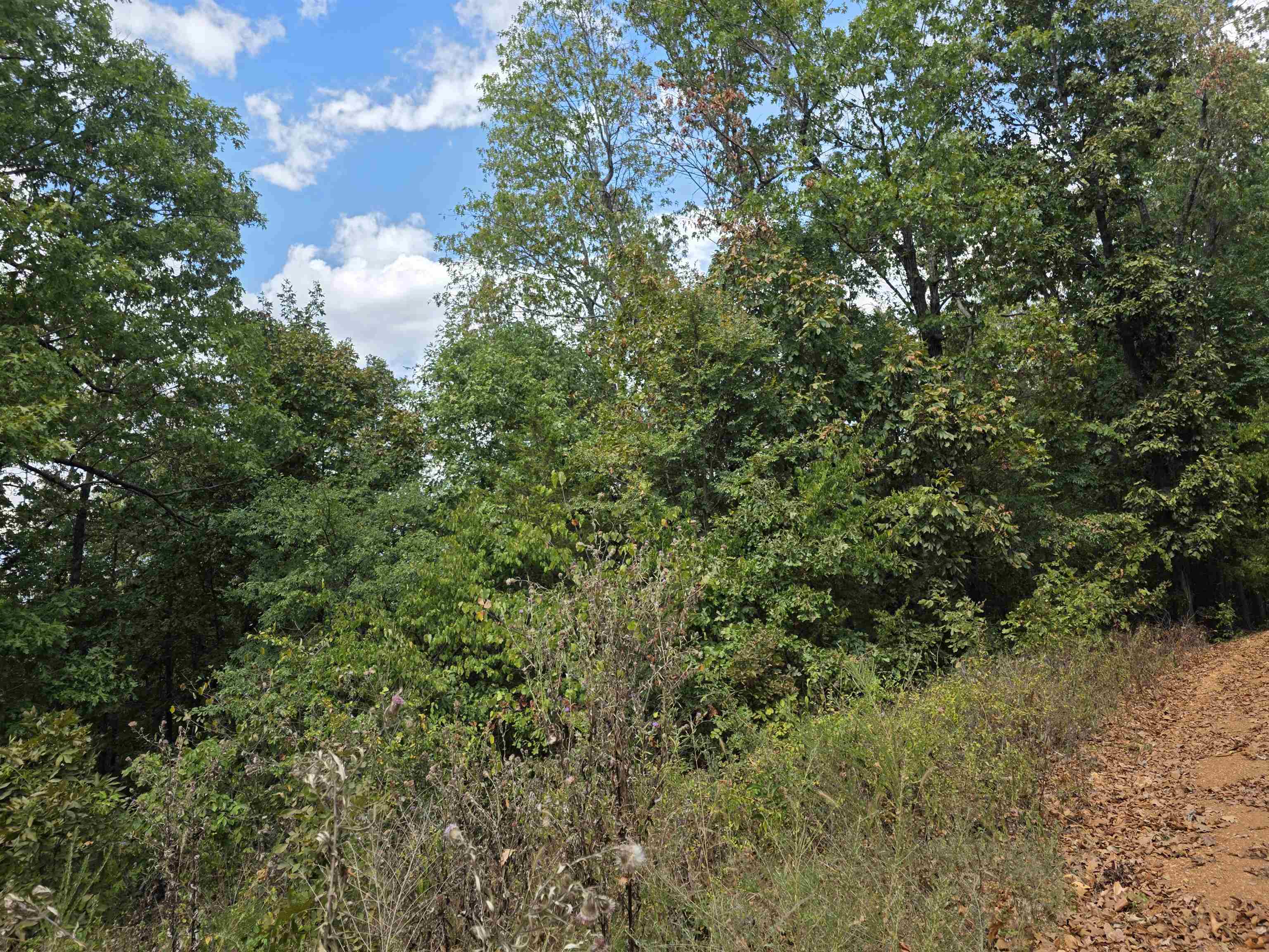 L4H Old CC Road