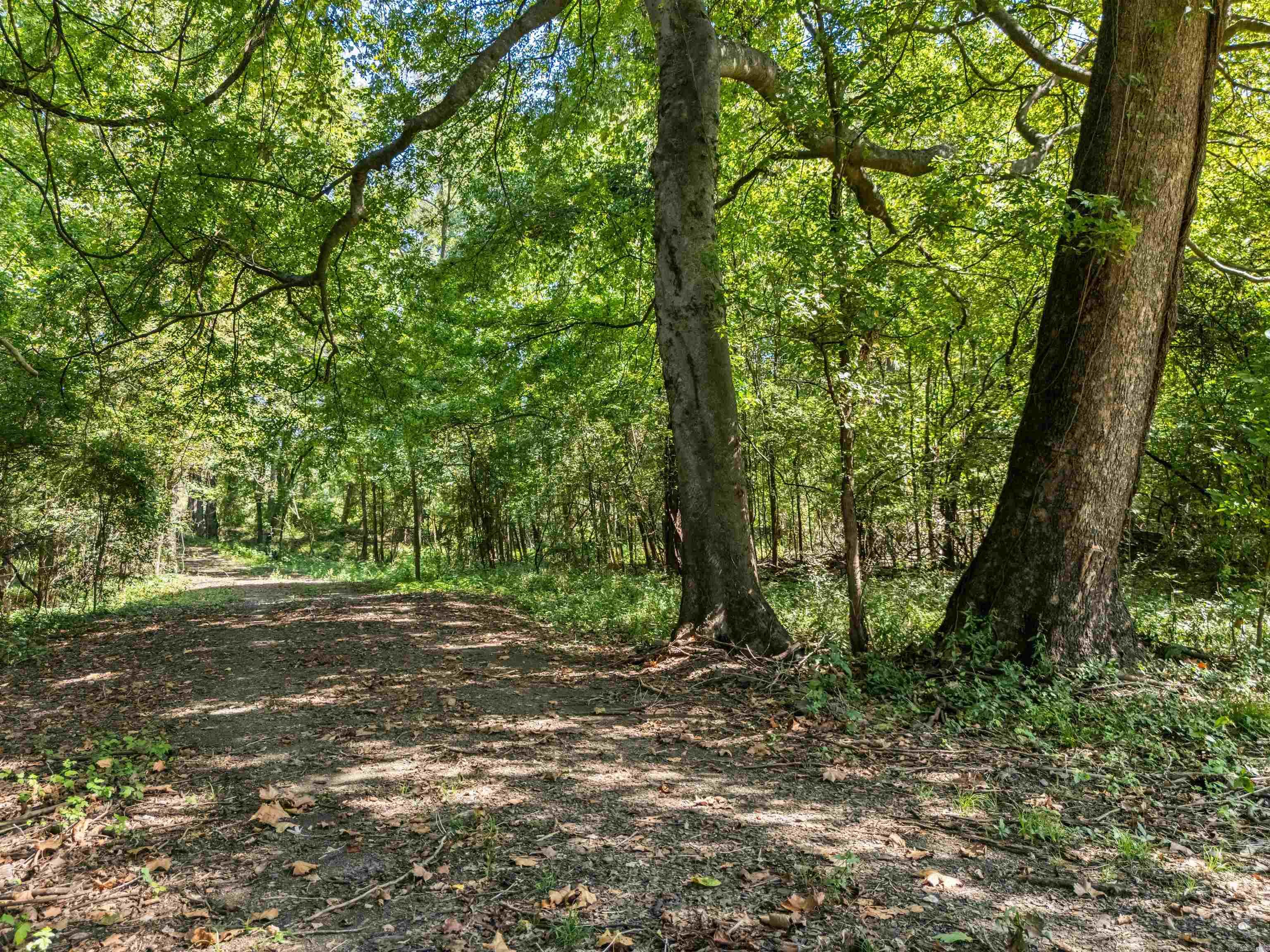 000 Bottoms  Plummerville, AR