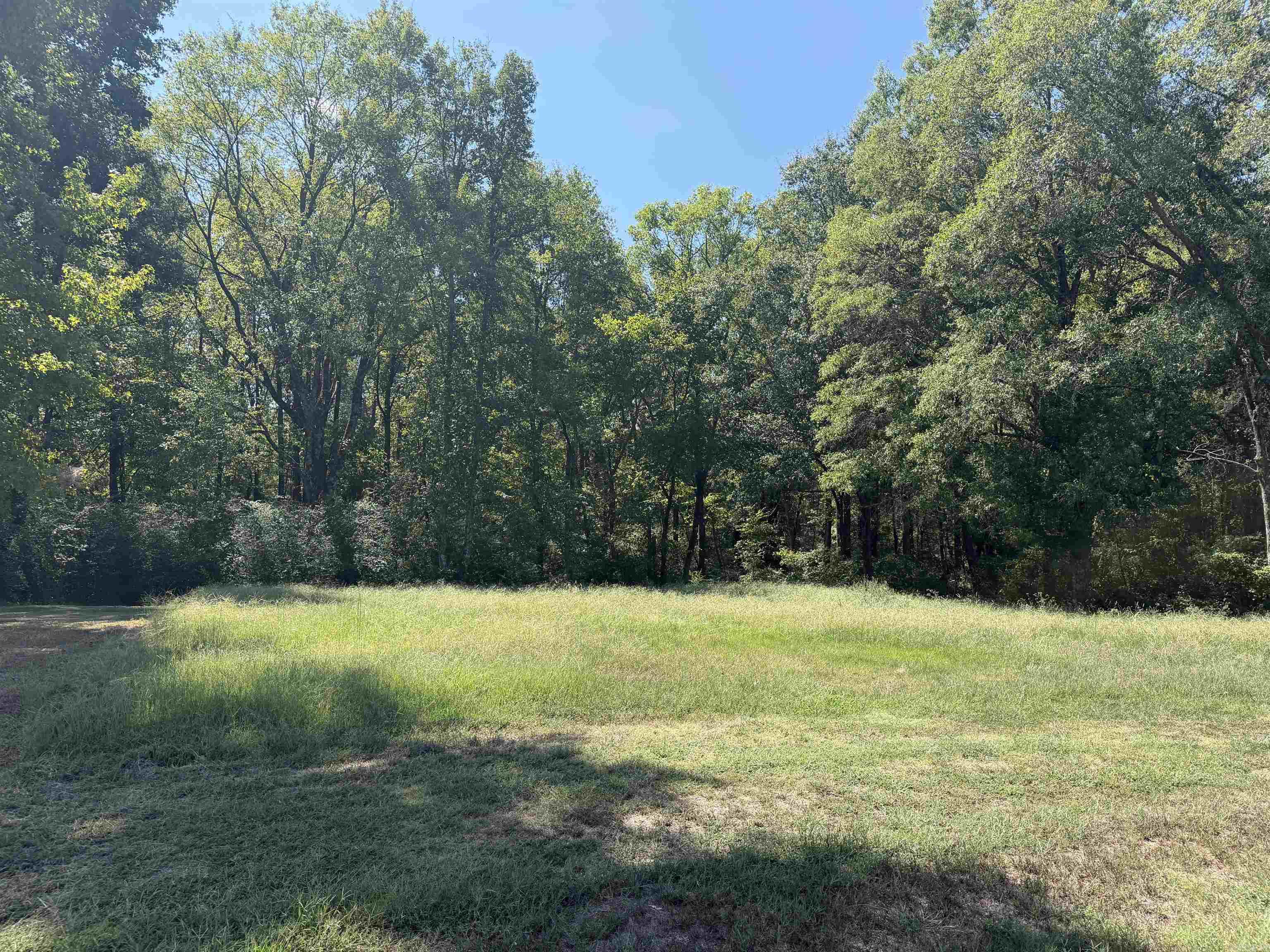 402 Hwy 286 E Tract 1 — photo 2