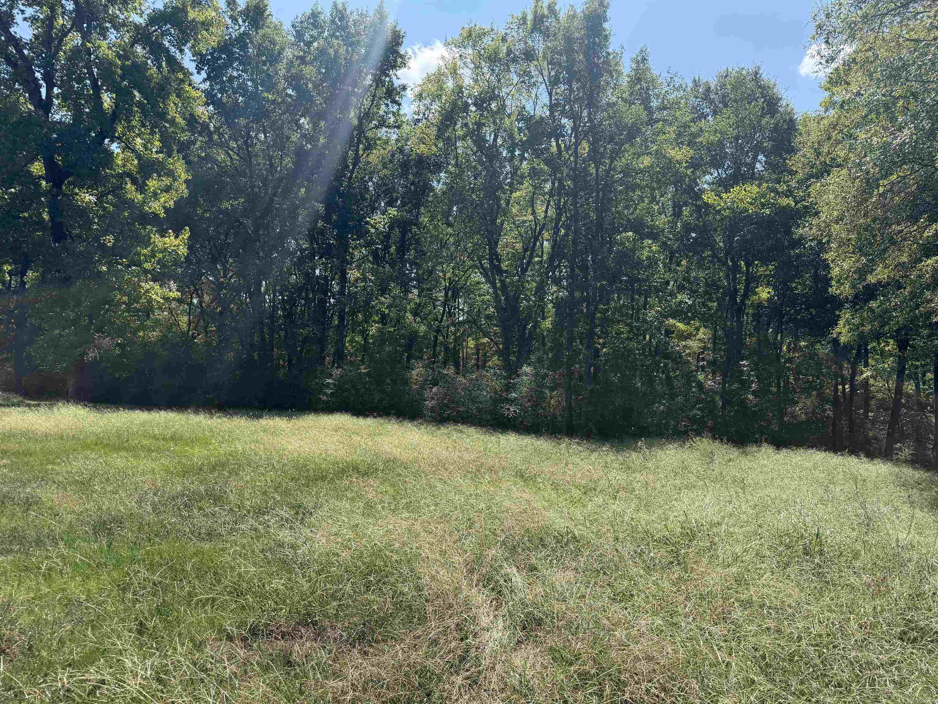 402 Hwy 286 E Tract 1 — photo 3