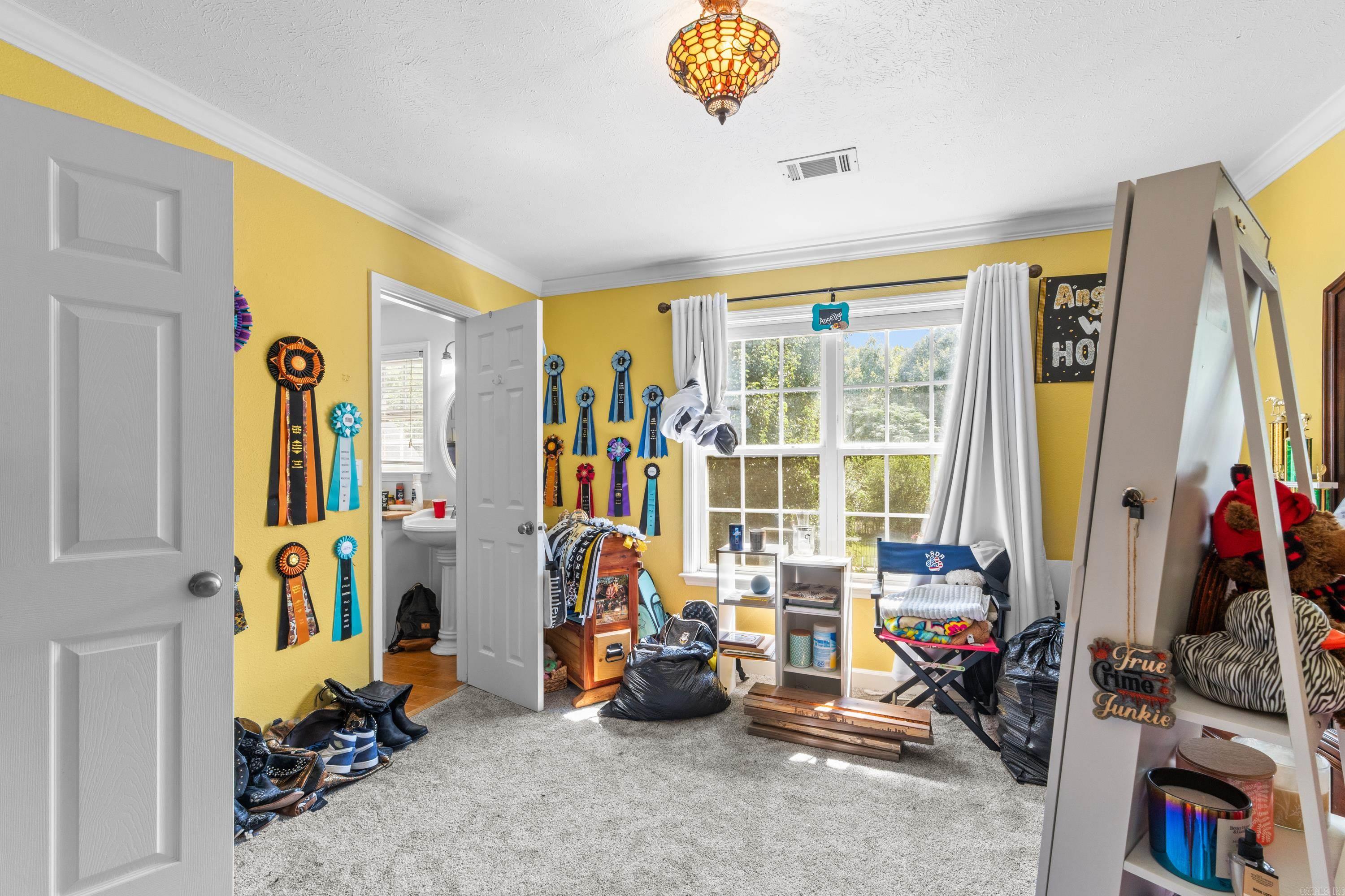 45 Pocahontas Court Conway, AR 72032