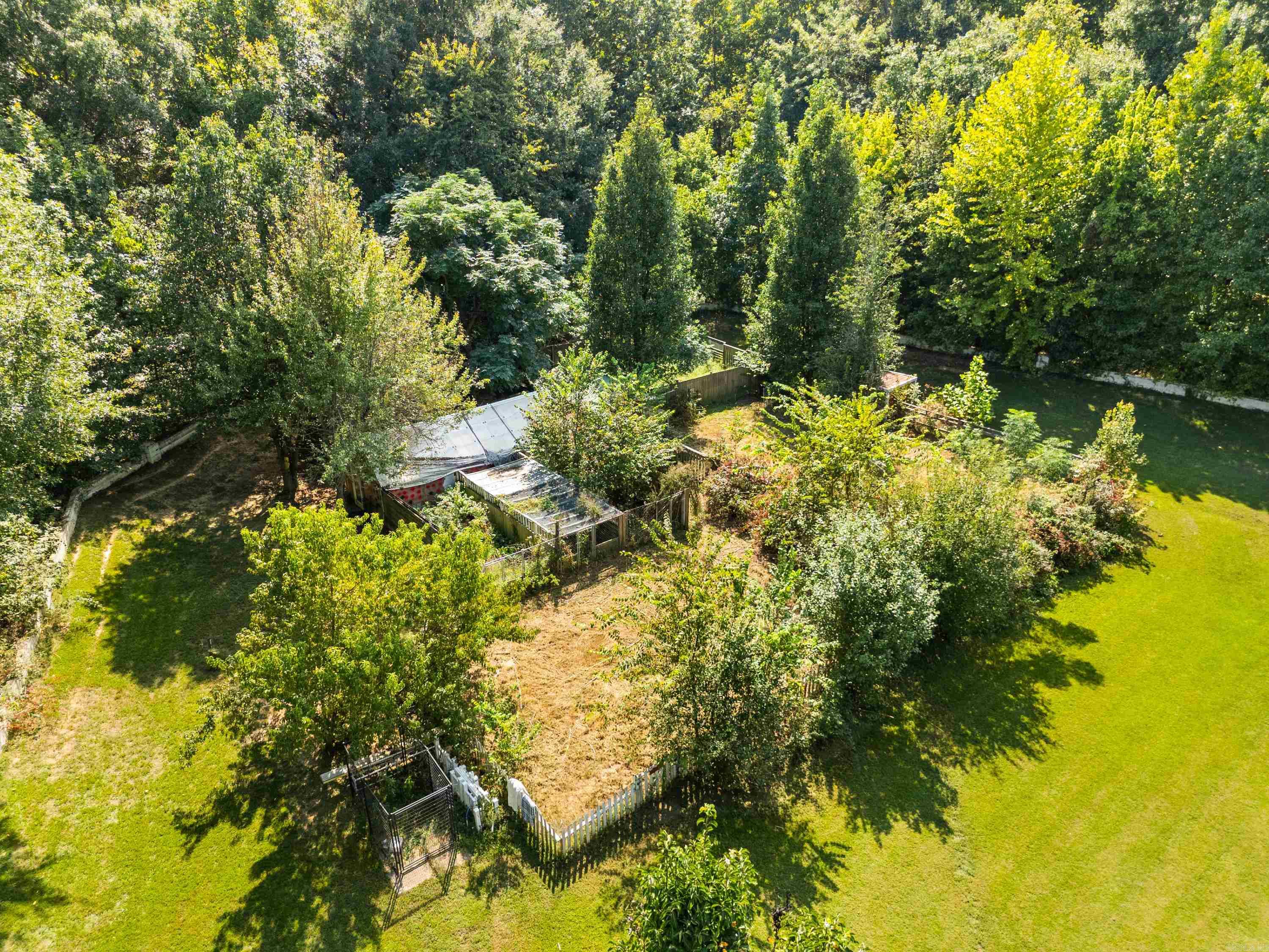 45 Pocahontas Court Conway, AR 72032