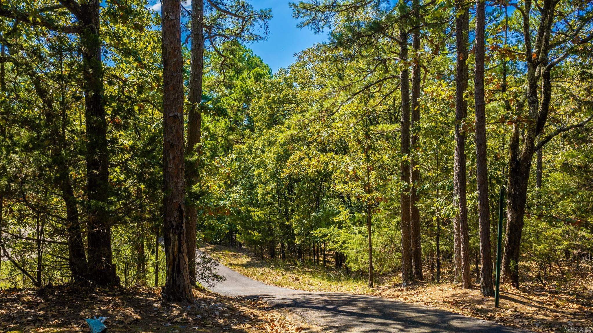 9 IDLEWOOD  Maumelle, AR