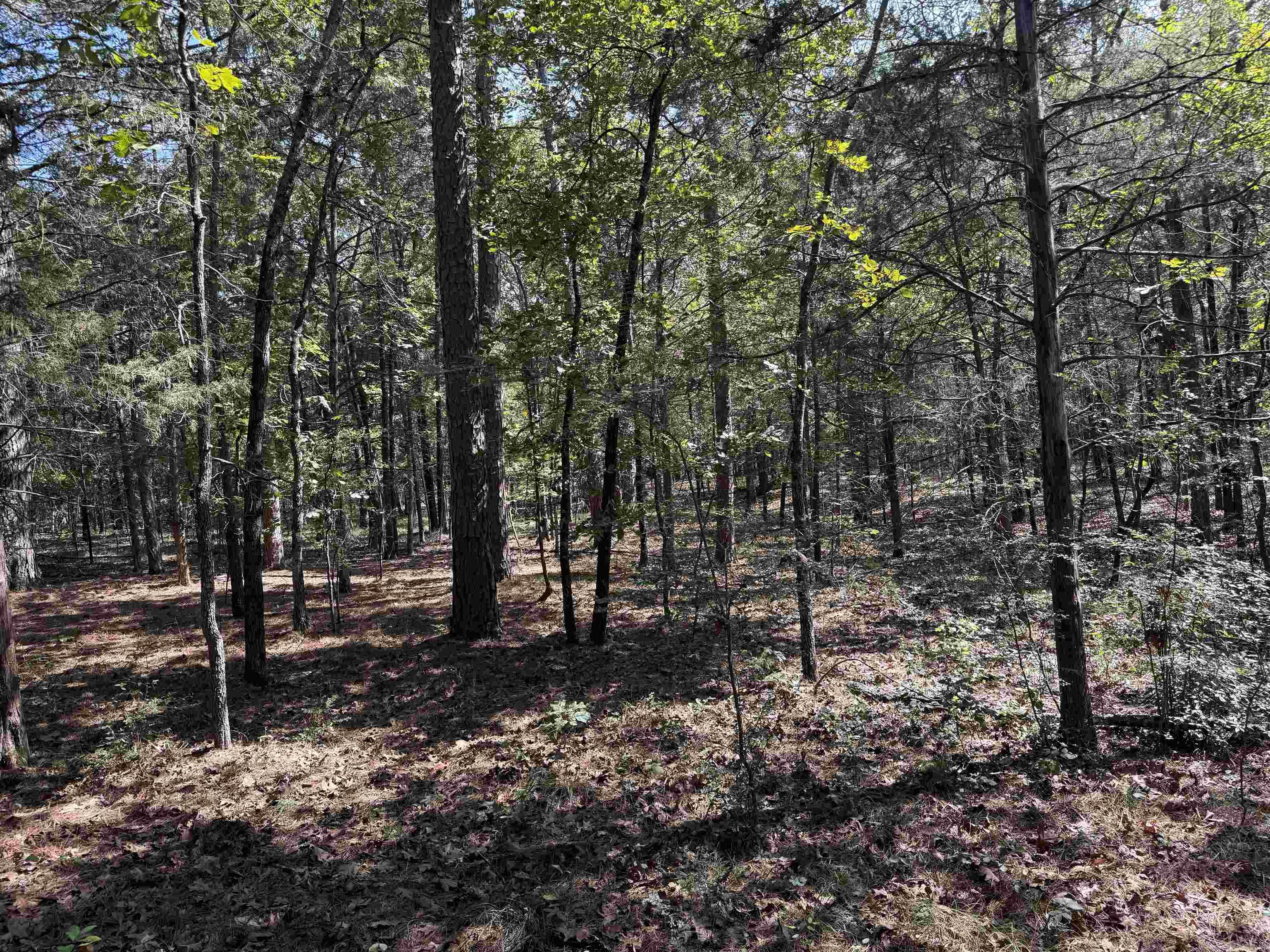 39 Starview  Tumbling Shoals, AR