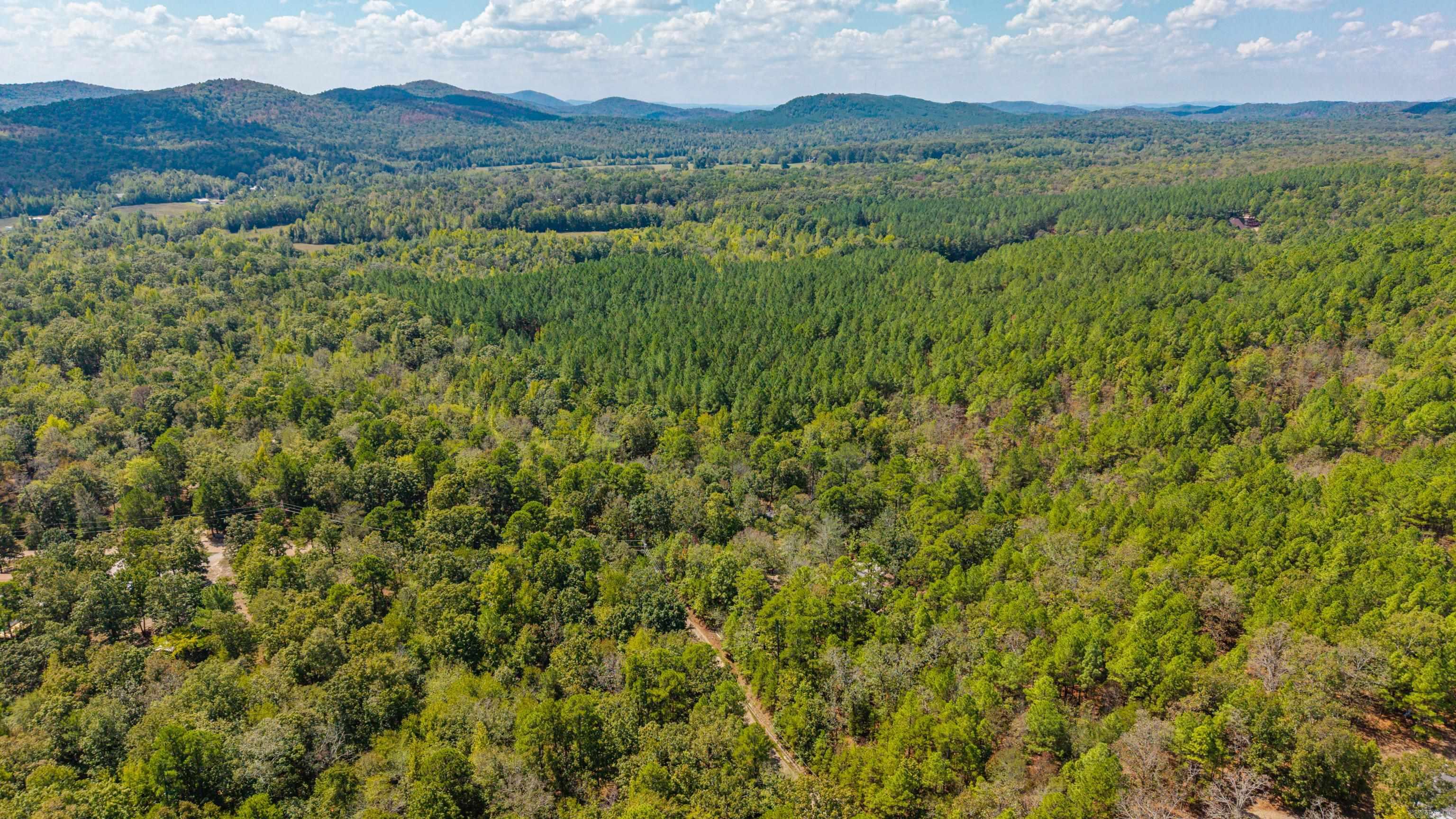 240 Turtle Creek  Hot Springs, AR