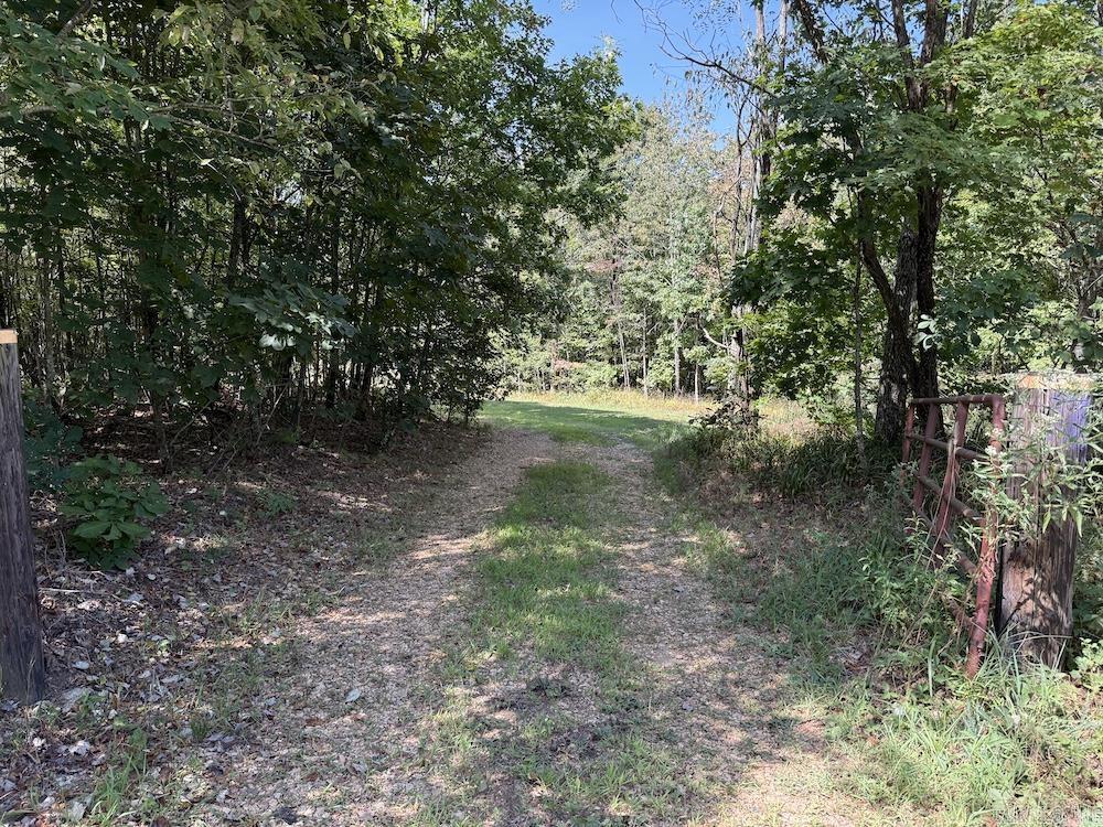 6361 Lick Fork Rd  Witt Springs, AR