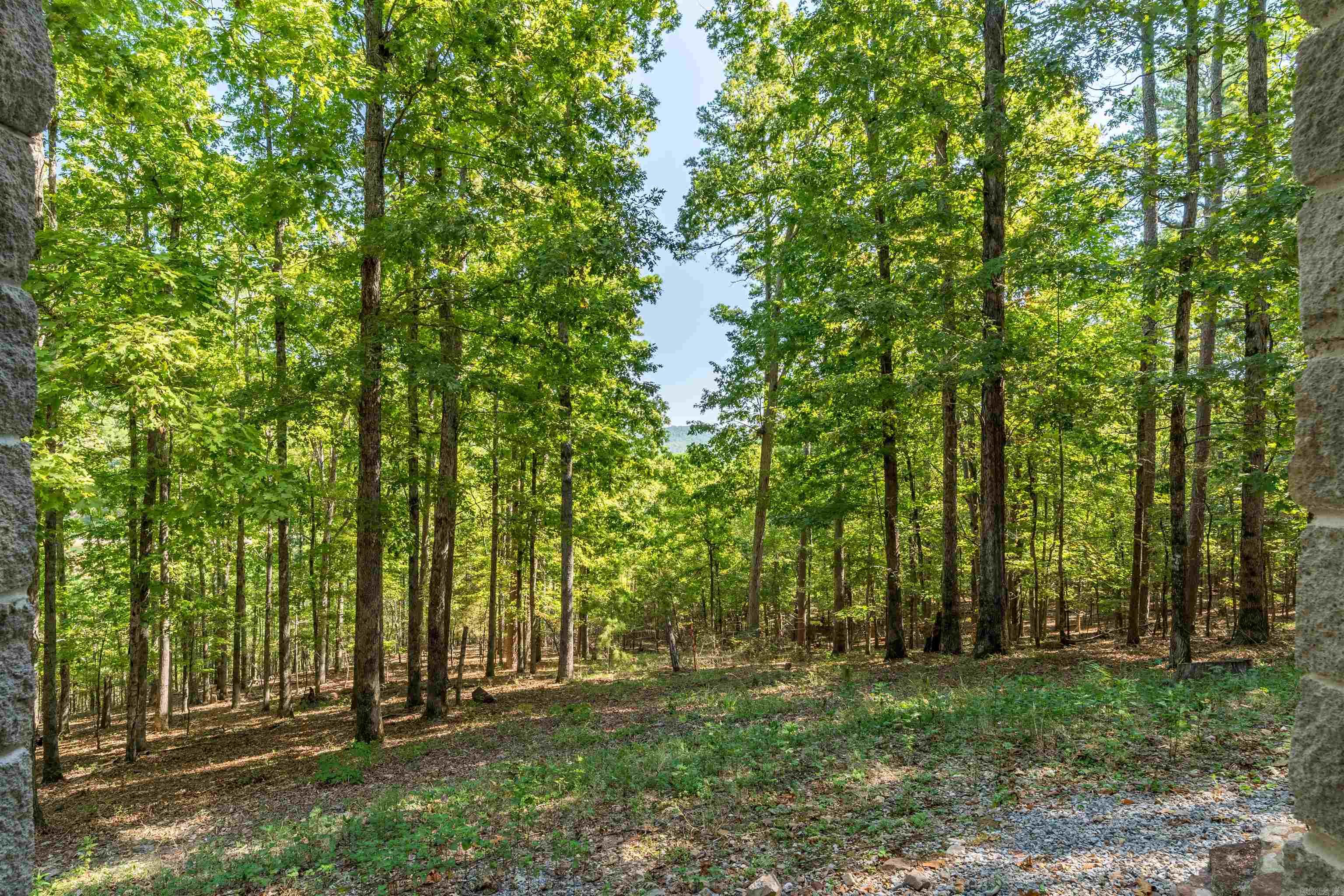 18 Modesto Way Hot Springs Village, AR 71909