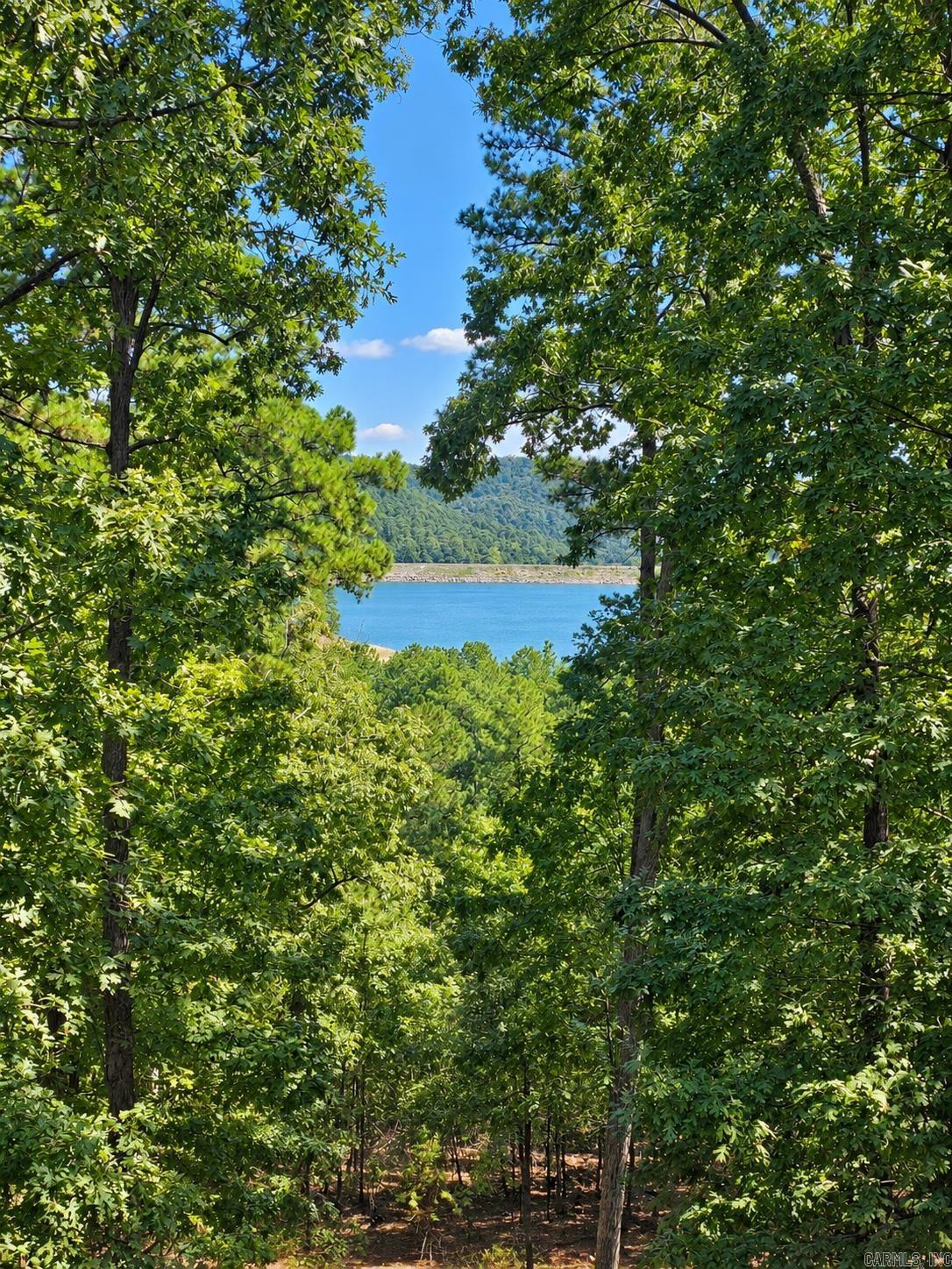 18 Modesto Way Hot Springs Village, AR 71909