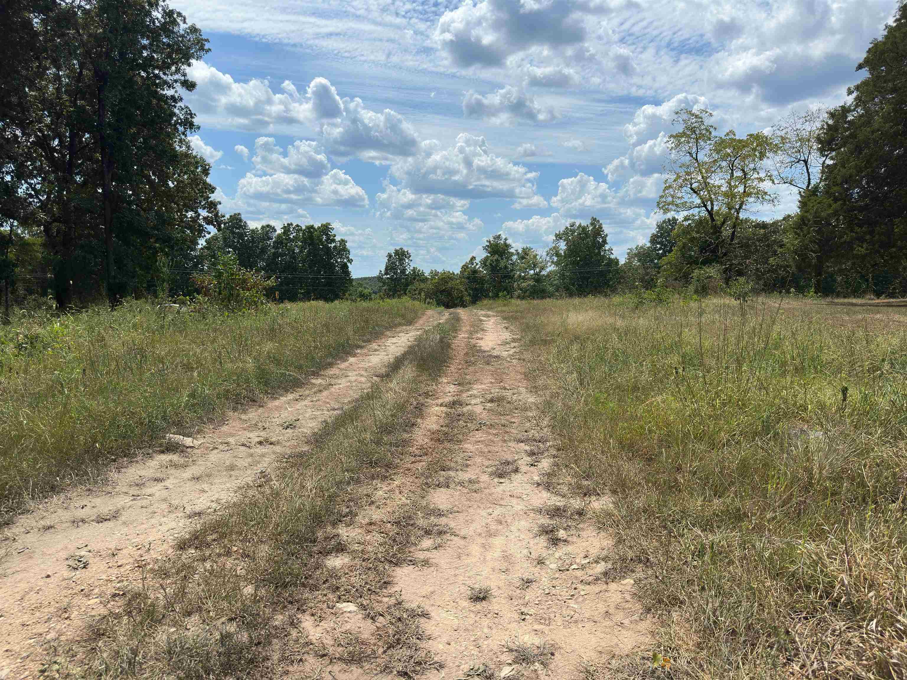 1778 Hwy 63