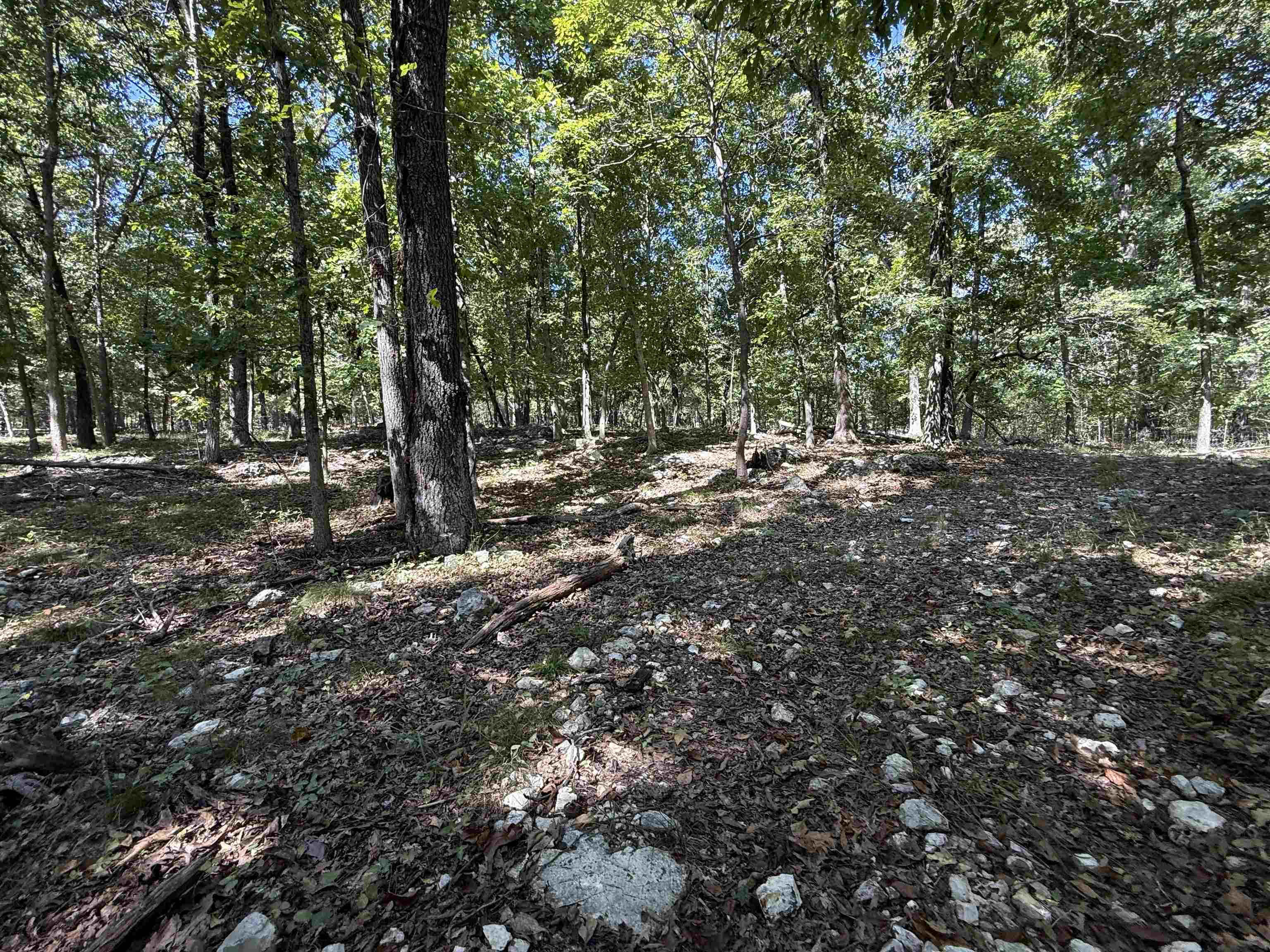 1778 Hwy 63