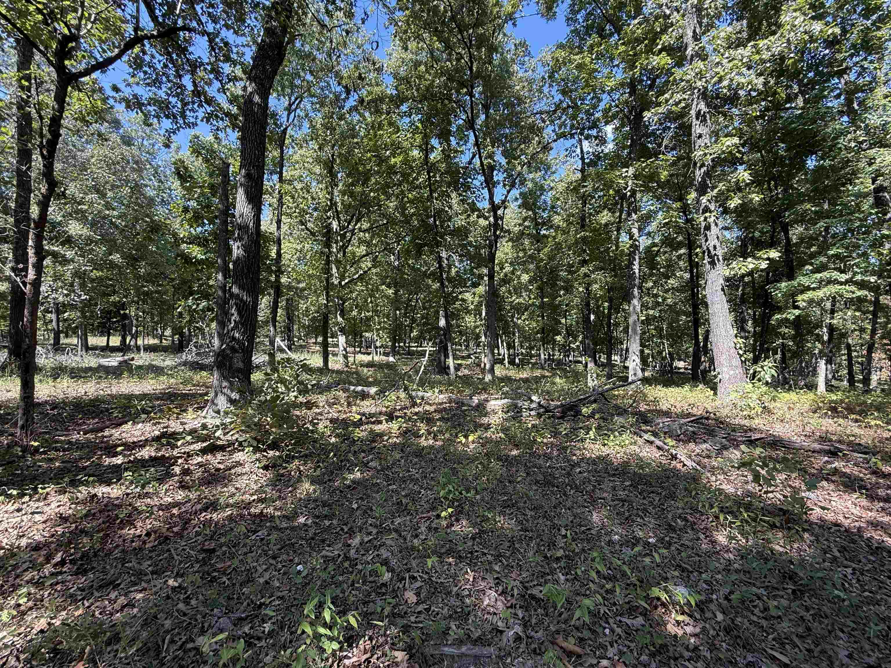 1778 Hwy 63