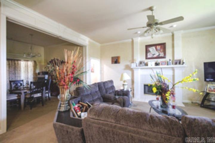 909 Timberwolf Trail — photo 5