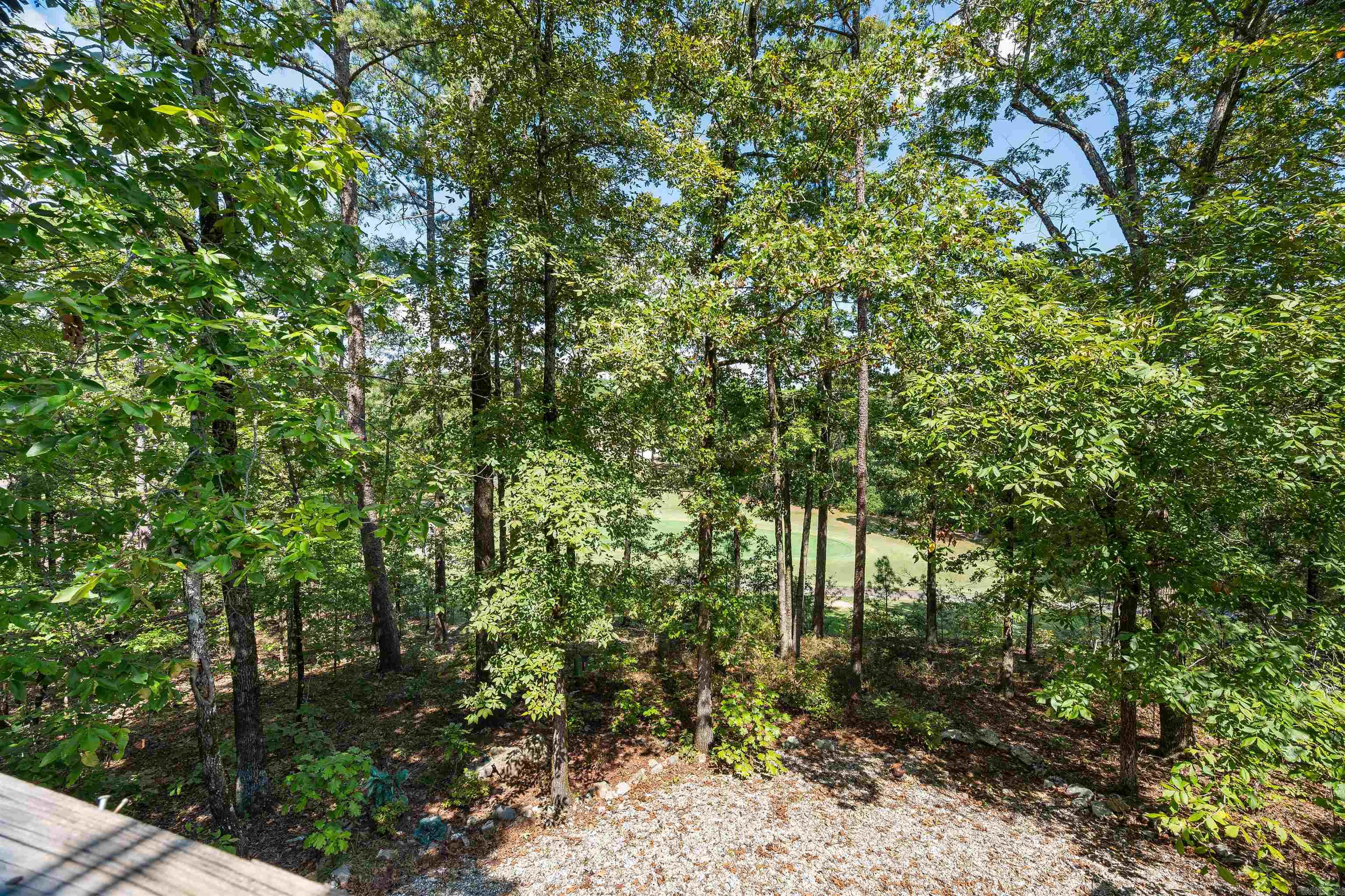 56 San Pablo Way  Hot Springs Village, AR