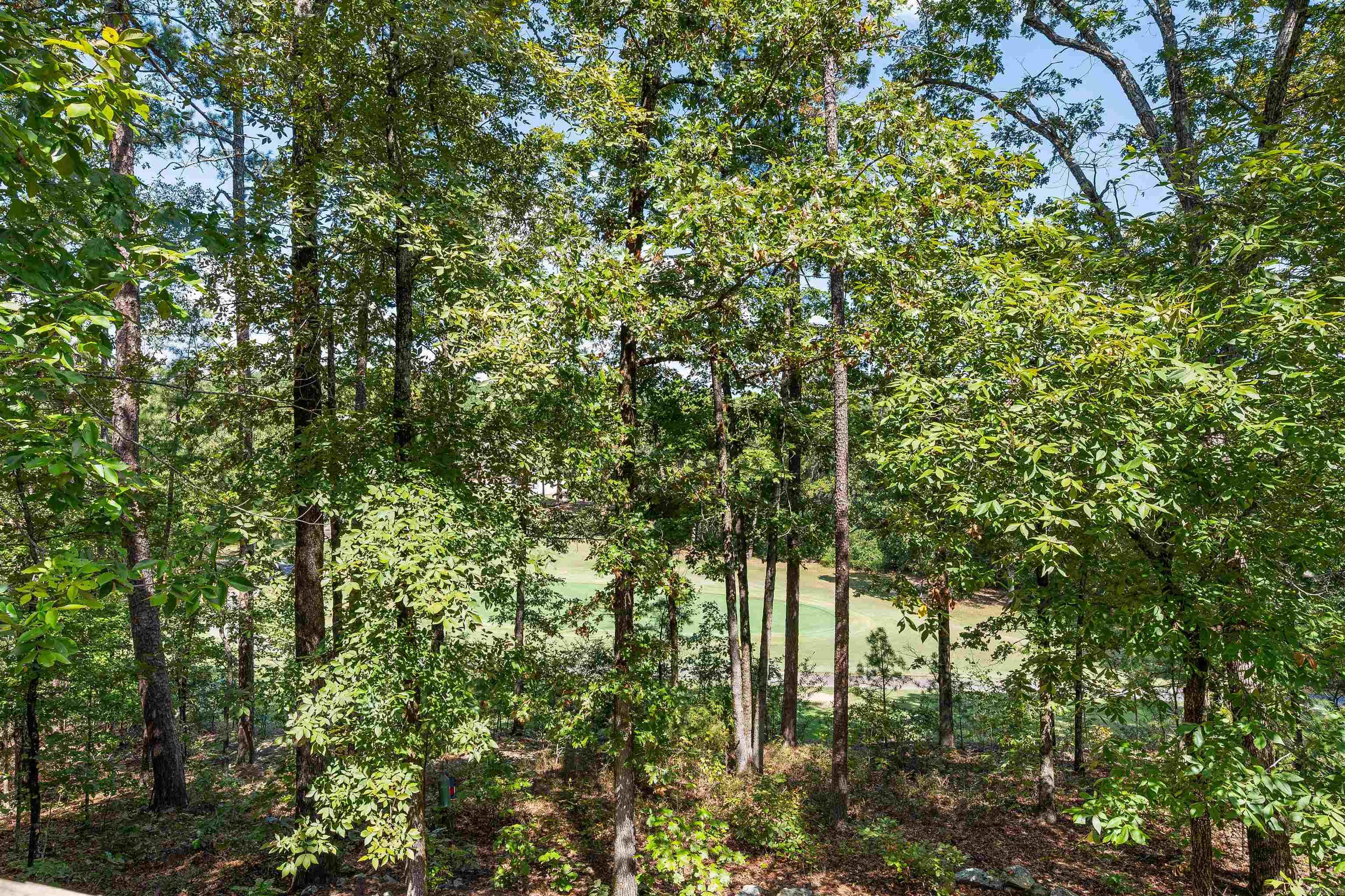 56 San Pablo Way  Hot Springs Village, AR