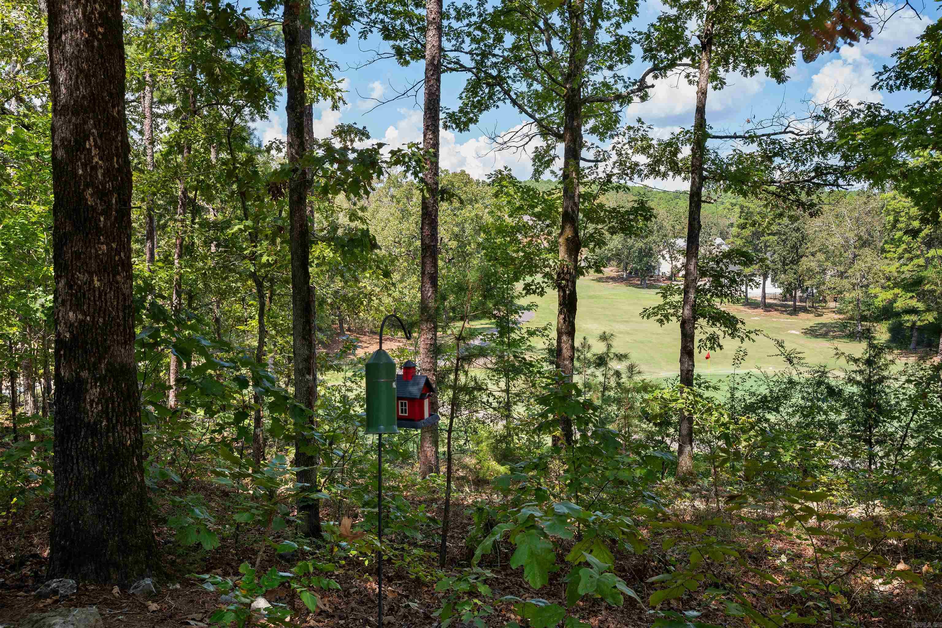 56 San Pablo Way  Hot Springs Village, AR
