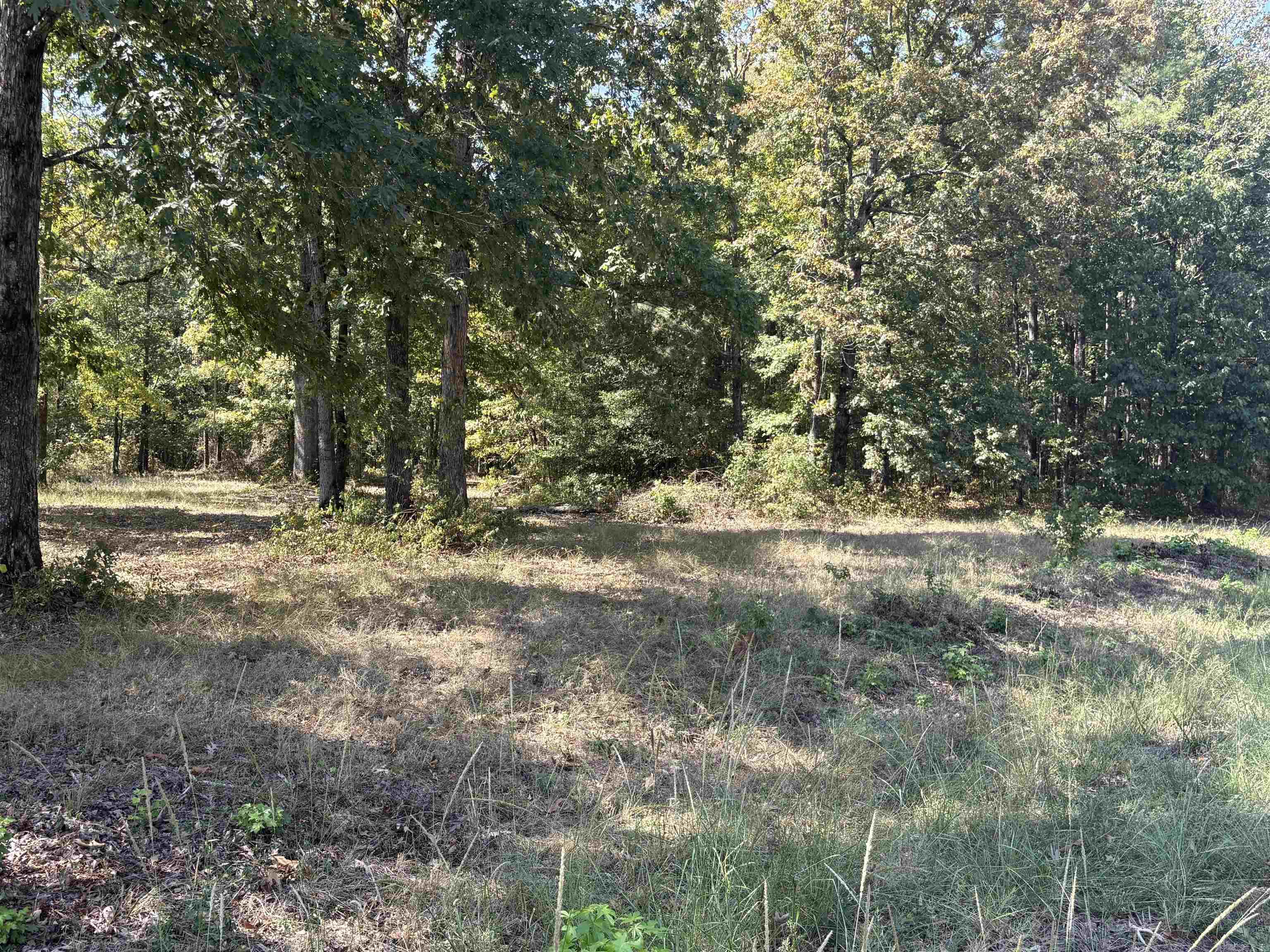 18 S Highway 167 — photo 4