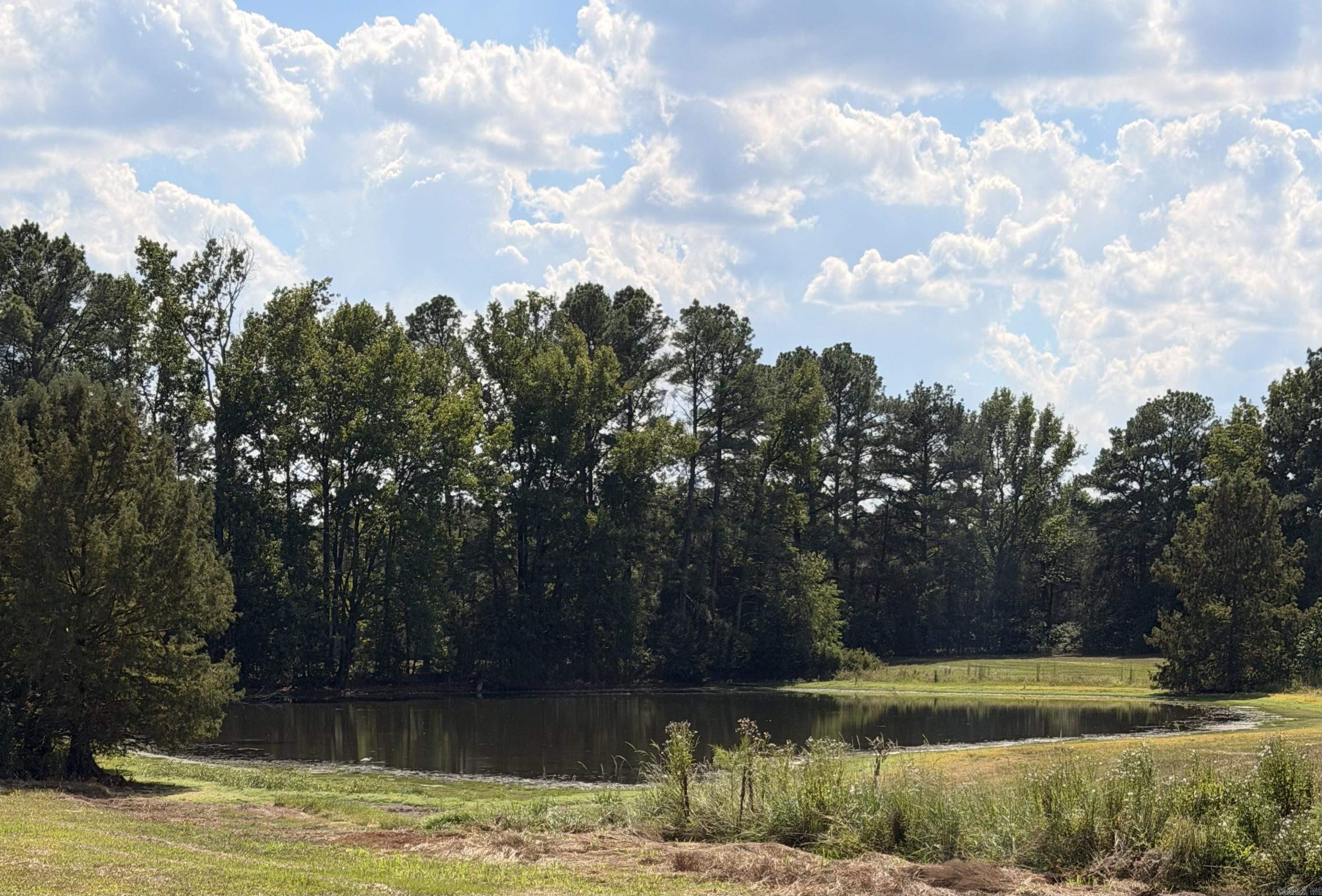 796 Rock Springs Rd.  Wilmar, AR
